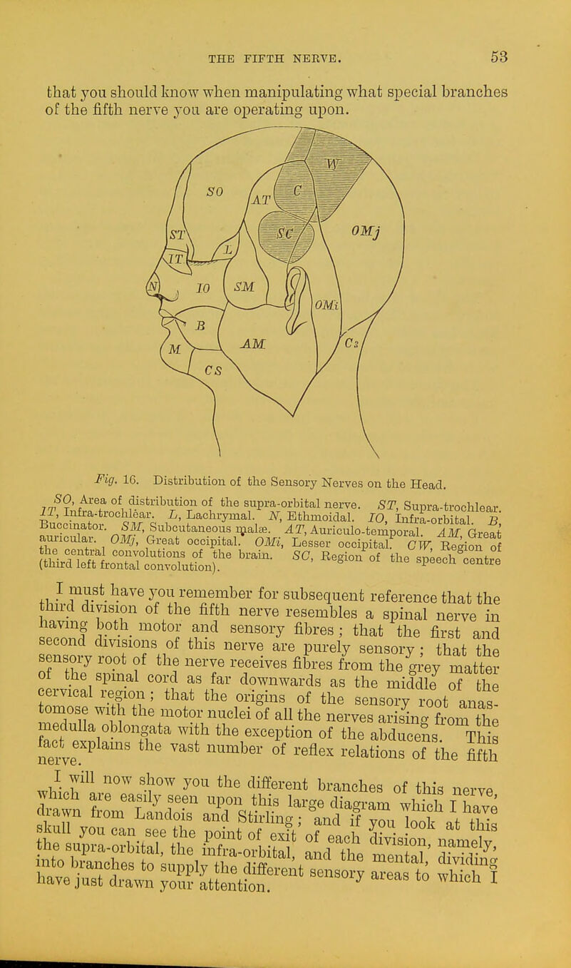 that you should know when manipulating what special branches of the fifth nerve jo\x are operating upon. Fig. 16. Distribution of the Sensory Nerves on the Head. lTJntrt^\ distribution of the supra-orbital nerve. ST, Supra-trochlear. ii, Infra-troolilear. i, Lachrymal. iV^, Ethmoidal. 10, Infi-a-orbital B Buccmator. SM, Subcutaneous i^aal^e. AT, Auriculo-temporal S Great amucular. Oilfj, Great occipital. OMi, Lesser occipital^ cV, Region o °^ sp^ech^crntrl I must have 3^011 remember for subsequent reference that the thn-d division of the fifth nerve resembles a spinal nerve in having both_ motor and sensory fibres ; that the first and second divisions of this nerve are purely sensory ; that the sensory ropt of the nerve receives fibres from the gi'ey matte? of the spinal cord as far downwards as the middle of the cervical region; that the origins of the sensory root anas- omose with the motor nuclei of all the nerves arising from the medulla oblongata with the exception of the abduceSs This faci. explams the vast number o\ reflex relations oT the S ''^''^'^^^^^'^1^* branches of this nerve