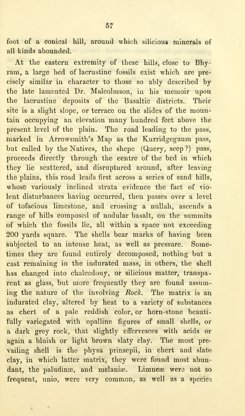 foot of a conical hill, around which silicious minerals of all kinds abounded. At the eastern extremity of these hills, close to Bhy- ram, a large bed of lacrustine fossils exist which are pre- cisely similar in character to those so ably described by the late lamented Dr. Malcolmson, in his memoir upon the lacrustine deposits of the Basaltic districts.. Their site is a slight slope, or terrace on the slides of the moun- tain occupying an elevation many hundred feet above the present level of the plain. The road leading to the pass, marked in Arrowsmith's Map as the Kurridgegaum pass, but called by the Natives, the shepe (Query, seep ?) pass, proceeds directly through the centre of the bed in which they lie scattered, and disruptured around, after leaving the plains, this road leads first across a series of sand hills, whose variously inclined strata evidence the fact of vio- lent disturbances having occurred, then passes over a level of tofacious limestone, and crossing a nullah, ascends a range of hills composed of nodular basalt, on the summits of which the fossils lie, all within a space not exceeding 200 yards square. The shells bear marks of having been subjected to an intense heat, as well as pressure. Some- times they are found entirely decomposed, nothing but a cast remaining in the indurated mass, in others, the shell has changed into chalcedony, or silicious matter, transpa- rent as glass, but more frequently they are found assum- ing the nature of the involving Rock. The matrix is an indurated clay, altered by heat to a variety of substances as chert of a pale reddish color, or horn-stone beauti- fully variegated with opalline figures of small shells, or a dark grey rock, that slightly effervesces with acids or again a bluish or light brown slaty clay. The most pre- vailing shell is the physa prinsepii, in chert and slate clay, in which latter matrix, they were found most abun- dant, the paludina3, and melaniae. Limneae were not so frequent, unio, were very common, as well as a species