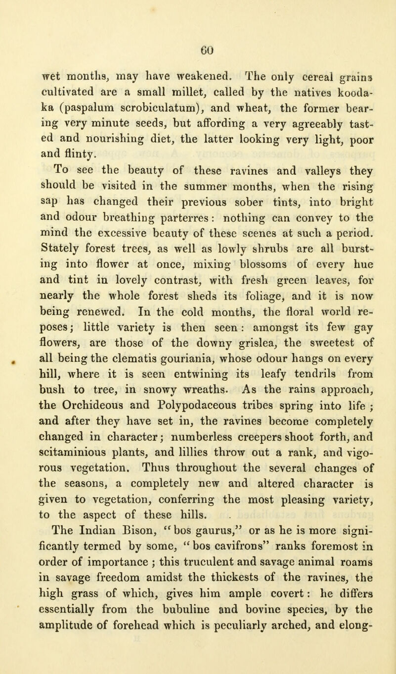 wet months, may have weakened. The only cereal grains cultivated are a small millet, called by the natives kooda- ka (paspalum scrobiculatum), and wheat, the former bear- ing very minute seeds, but affording a very agreeably tast- ed and nourishing diet, the latter looking very light, poor and flinty. To see the beauty of these ravines and valleys they should be visited in the summer months, when the rising sap has changed their previous sober tints, into bright and odour breathing parterres: nothing can convey to the mind the excessive beauty of these scenes at such a period. Stately forest trees, as well as lowly shrubs are all burst- ing into flower at once, mixing blossoms of every hue and tint in lovely contrast, with fresh green leaves, for nearly the whole forest sheds its foliage, and it is now being renewed. In the cold months, the floral world re- poses ; little variety is then seen: amongst its few gay flowers, are those of the downy grislea, the sweetest of all being the clematis gouriania, whose odour hangs on every hill, where it is seen entwining its leafy tendrils from bush to tree, in snowy wreaths. As the rains approach, the Orchideous and Polypodaceous tribes spring into life ; and after they have set in, the ravines become completely changed in character; numberless creepers shoot forth, and scitaminious plants, and lillies throw out a rank, and vigo- rous vegetation. Thus throughout the several changes of the seasons, a completely new and altered character is given to vegetation, conferring the most pleasing variety, to the aspect of these hills. The Indian Bison,  bos gaurus, or as he is more signi- ficantly termed by some,  bos cavifrons ranks foremost in order of importance ; this truculent and savage animal roams in savage freedom amidst the thickests of the ravines, the high grass of which, gives him ample covert: he differs essentially from the bubuline and bovine species, by the amplitude of forehead which is peculiarly arched, and elong-