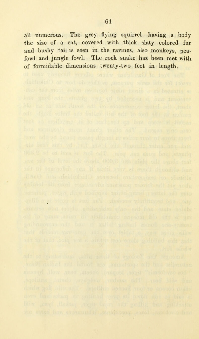 all numerous. The grey flying squirrel having a body the size of a cat, covered with thick slaty colored fur and bushy tail is seen in the ravines, also monkeys, pea- fowl and jungle fowl. The rock snake has been met with of formidable dimensions twenty-two feet in length.