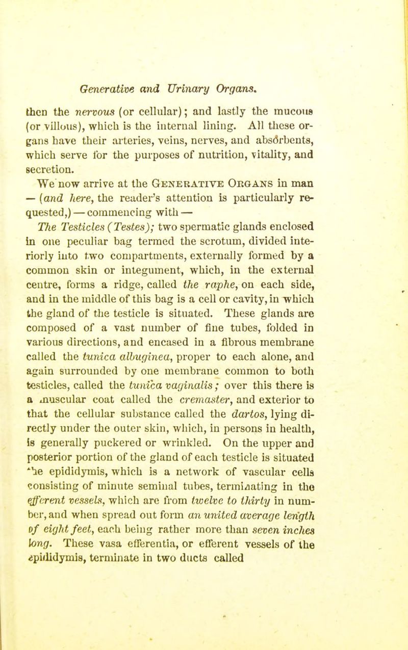 then the nervous (or cellular); and lastly the mucous (or villous), which is the internal lining. All these or- gans have their aileries, veins, nerves, and absorbents, which serve for the purposes of nutrition, vitality, and secretion. We now arrive at the Generative Organs in man — {and here, the reader's attention is particulai-ly re- quested,) — commencing with — The Testicles (Testes); two spermatic glands enclosed in one peculiar bag termed the scrotum, divided inte- riorly into two compartments, externally formed by a common skin or integument, which, in the external centre, forms a ridge, called the raphe, on each side, and in the middle of this bag is a cell or cavity, in which the gland of the testicle is situated. These glands are composed of a vast number of flue tubes, folded in various directions, and encased in a fibrous membrane called the tunica albuginea, proper to each alone, and again surrounded by one membrane common to both testicles, called the tunica vaginalis; over this there is a muscular coat called the cremaster, and exterior to that the cellular substance called the dartos, lying di- rectly under the outer skin, which, in persons in health, Is generally puckered or wrinkled. On the upper and posterior portion of the gland of each testicle is situated ■le epididymis, which is a network of vascular cella consisting of minute seminal tubes, termidating in the querent vessels, which are from twelve to thirty in num- ber, and when spread out foiTn an united average length of eight feet, each being rather more than seven inches long. These vasa efferentia, or efferent vessels of the ^pi(lidymis, terminate in two ducts called