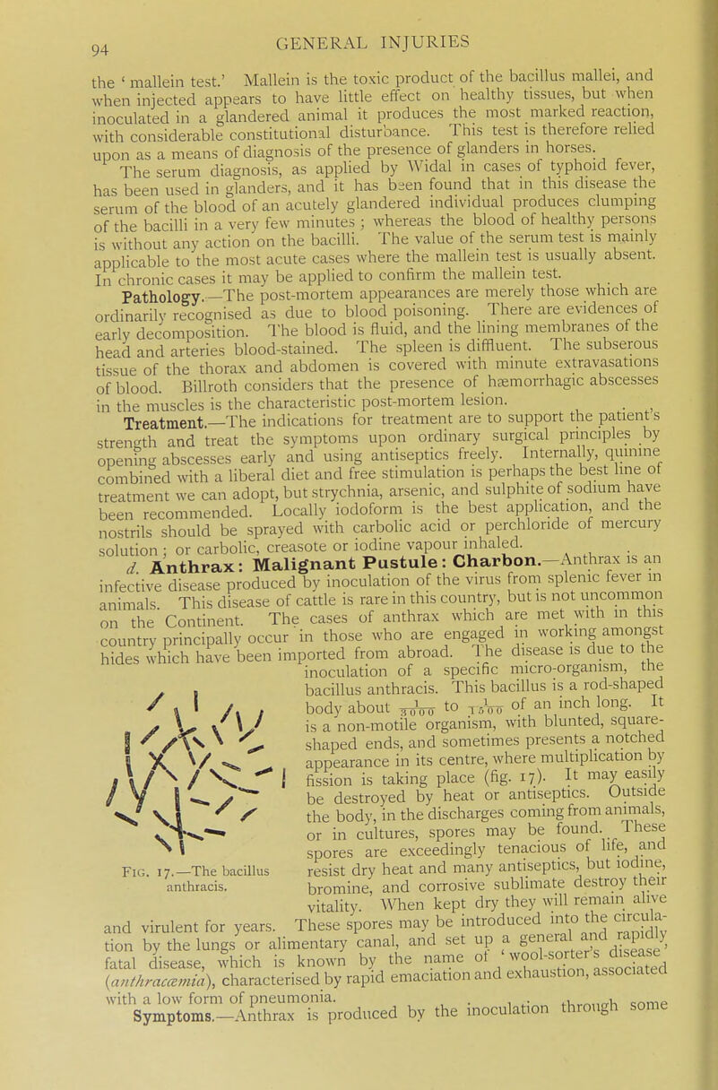 the ' mallein test.' Mallein is the toxic product of the bacillus mallei, and when injected appears to have little effect on healthy tissues, but when inoculated in a glandered animal it produces the most marked reaction, with considerable constitutional disturbance. This test is therefore relied upon as a means of diagnosis of the presence of glanders m horses. The serum diagnosis, as applied by Widal in cases of typhoid fever, has been used in glanders, and it has b-en found that in this disease the serum of the blood of an acutely glandered individual produces clumping of the bacilli in a very few minutes ; whereas the blood of healthy persons is without any action on the bacilli. The value of the serum test is mainly applicable to the most acute cases where the mallein test is usually absent. In chronic cases it may be applied to confirm the mallein test. Pathology. —The post-mortem appearances are merely those which are ordinarily recognised as due to blood poisoning. There are evidences of early decomposition. I'he blood is fluid, and the lining membranes of the head and arteries blood-stained. The spleen is diffluent. The subserous tissue of the thorax and abdomen is covered with minute extravasations of blood. Billroth considers that the presence of _ hfemorrhagic abscesses in the muscles is the characteristic post-mortem lesion. _ ^ Treatment.—The indications for treatment are to support the patient s strength and treat the symptoms upon ordinary surgical principles by opening abscesses early and using antiseptics freely. Internally, quinine combined with a liberal diet and free stimulation is perhaps the best line of treatment we can adopt, but strychnia, arsenic, and sulphite of sodmm have been recommended. Locally iodoform is the best application and the nostrils should be sprayed with carbolic acid or perchloride of mercury solution ; or carbolic, creasote or iodine vapour inhaled. . d Anthrax: Malignant Pustule : Charbon.-Anthrax is an infective disease produced by inoculation of the virus from splenic fever m animals This disease of cattle is rare in this country, but is not uncommon on the Continent. The cases of anthrax which are met with m this country principally occur in those who are engaged in working amongst hides which have been imported from abroad. I he disease is due to the inoculation of a specific micro-orgamsm, the bacillus anthracis. This bacillus is a rod-shaped body about ^ to of ^n inch long. It is a non-motile organism, with blunted, square- shaped ends, and sometimes presents a notched appearance in its centre, where multiplication by j fission is taking place (fig. i?)- It may easily be destroyed by heat or antiseptics. Outside the body, in the discharges coming from animals, or in cultures, spores may be found. These spores are exceedingly tenacious of life, and Fig. 17.-The bacillus resist dry heat and many antiseptics but iodine, anthracis. bromine, and corrosive sublimate destroy tlieir vitality. ^Vhen kept dry they will remain alive and virulent for years. These spores may be introduced into the circu a- tion by the lungs or alimentary canal, and set up a g^^f^^f^^ll^ , ^ fatal disease, which is known by the name ot {anthraccemia), characterised by rapid emaciation and exhaustion, associated with a low form of pneumonia. . ^Uv^„„v, comp Symptoms.-Anthrax is produced by the inoculation through some