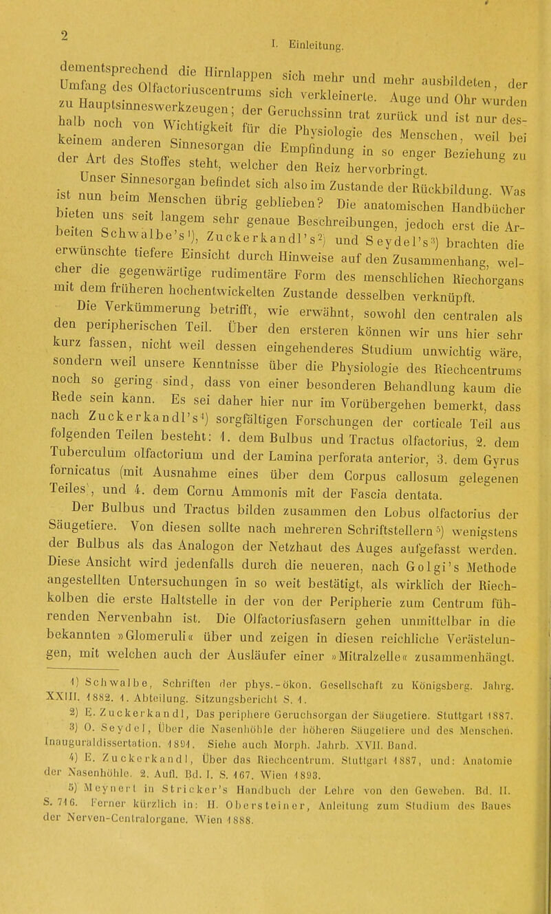 JÄ4* Htata»P« ■** mehr und mehr ausbildeten „er Umfang des Olfactonuscentrums sich verkleinerte. Auge und Ohr wU1, zu Hauptsinneswcrkzeugen; der Geruchssinn fMt f , G halb noch von Wichtig für d.J pt T , ^ 'St nU' deS^ keinem andprpn 7 § Physiologie des Menschen, weil bei d 1 des S ofr TI?/16 EmPßQd-S - so enger Beziehung zn der Art des Stoffes steht, welcher den Reiz hervorbringt Unser Sinnesorgan befindet sich also im Zustande der Rückbildung Was l™l:ZTrhen T» 86blieben? ~ Handbücher bitten ^TT ^ ^^gen, jedoch erst die Ar- beiten Schwalbe's'), Zuckerkandl'■*) und SeydeiV) brachten die erwünschte tiefere Einsicht durch Hinweise auf den Zusammenhan Ri- cher die gegenwärtige rudimentäre Form des menschlichen Riechorgans mit dem früheren hochentwickelten Zustande desselben verknüpft - Die Verkümmerung betrifft, wie erwähnt, sowohl den centralen als den peripherischen Teil, über den ersteren können wir uns hier sehr kurz fassen, nicht weil dessen eingehenderes Studium unwichtig wäre sondern weil unsere Kenntnisse über die Physiologie des Riechcentrums noch so gering sind, dass von einer besonderen Behandlung kaum die Rede sein kann. Es sei daher hier nur im Vorübergehen bemerkt, dass nach Zuckerkandl's^) sorgfältigen Forschungen der corticale Teil aus folgenden Teilen besteht: 1. dem Bulbus und Tractus olfactorius, 2. dem Tuberculum olfactorium und der Lamina perforata anterior, 3. dem Gyrus fornicatus (mit Ausnahme eines über dem Corpus callosum gelegenen Teiles', und 4. dem Gornu Ammonis mit der Fascia dentata. Der Bulbus und Tractus bilden zusammen den Lobus olfactorius der Säugetiere. Von diesen sollte nach mehreren Schriftstellern5) wenigstens der Bulbus als das Analogon der Netzhaut des Auges aulgefasst werden. Diese Ansicht wird jedenfalls durch die neueren, nach Golgi's Methode angestellten Untersuchungen in so weit bestätigt, als wirklich der Riech- kolben die erste Haltstelle in der von der Peripherie zum Gentrum füh- renden Nervenbahn ist. Die OJfactoriusfasern gehen unmittelbar in die bekannten »Gloineruli« über und zeigen in diesen reichliche Verästelun- gen, mit welchen auch der Ausläufer einer »Mitralzelle« zusammenhänet. 1) Schwalbe, Schriften der phys.-ökon. Gesellschaft zu Königsberg. Jahrg. XXIII. 4 882. 1. Abteilung. Sitzungsbericht S. 1. 2) E. Zuckerkandl, Das periphere Geruchsorgan der Säugetiere. Stuttgart 1SS7. 3) 0. Seydel, Über die Nasenhöhle der höheren Saugetiere und des Menschen. Inauguraldissertation. 1894. Siehe auch Morph. Jahrb. XVII. Band. 4) E. Zuckerkandl, Über das Riechcentrum. Stuttgart 1887, und: Anatomie der Nasenhöhle, 2. Aufl. Bd. I. S. 1G7. Wien 4893. 6) Meynert in Stricker's Handbuch der Lehre von den Geweben. Bd. II. S. 716. ferner kürzlich in: H. Obersteiner, Anleitung zum Studium des Baues der Nerven-Contralorgane. Wien 1888.