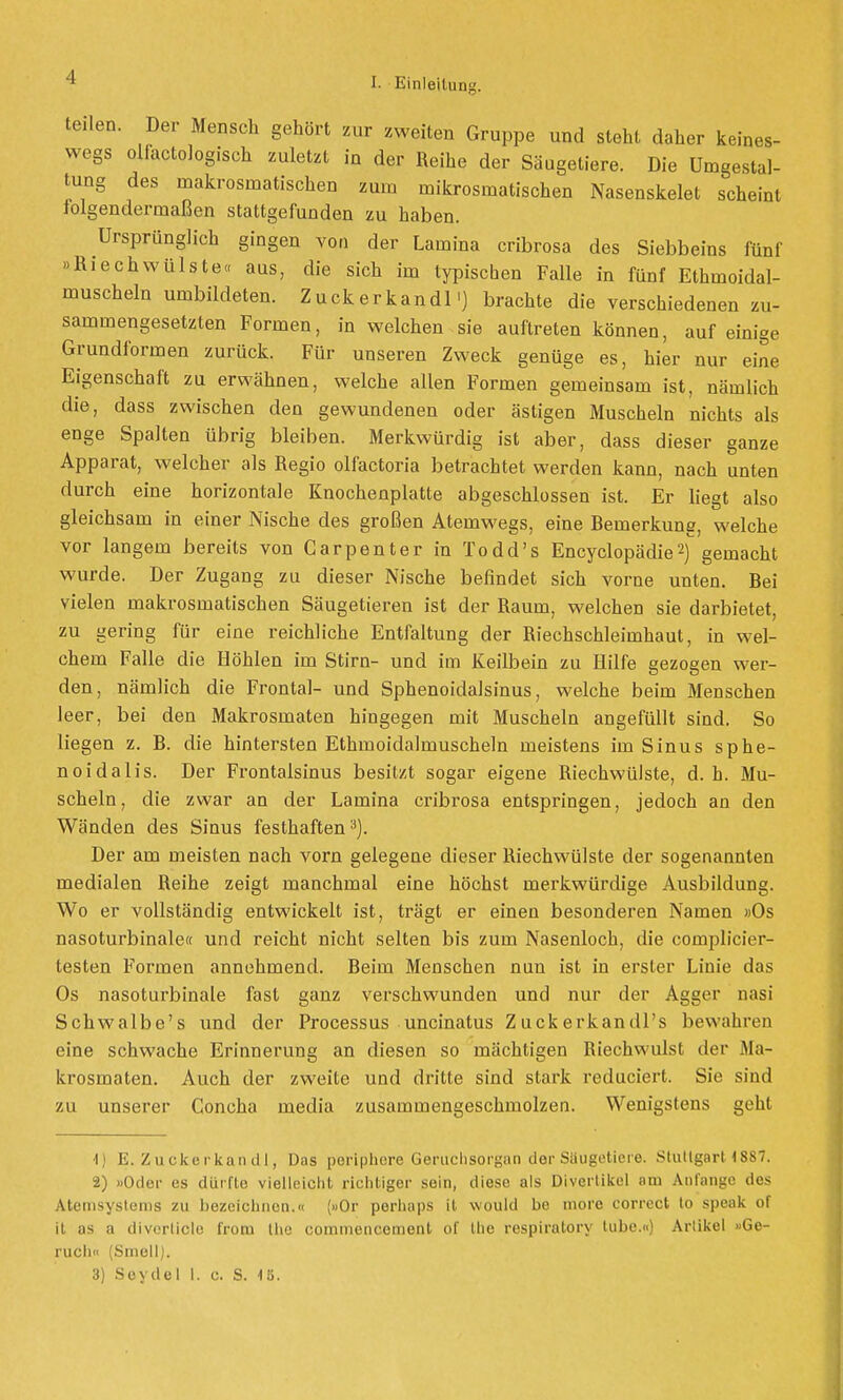 te,len. Der Mensch gehört zur zweiten Gruppe und steht daher keines- wegs olfactologisch zuletzt in der Reihe der Säugetiere. Die Umgestal- tung des makrosmatischen zum mikrosmatischen Nasenskelet scheint folgendermaßen stattgefunden zu haben. Ursprünglich gingen von der Lamina cribrosa des Siebbeins fünf »RiechWülste« aus, die sich im typischen Falle in fünf Ethmoidal- muscheln umbildeten. Zuckerkandl') brachte die verschiedenen zu- sammengesetzten Formen, in welchen sie auftreten können, auf einige Grundformen zurück. Für unseren Zweck genüge es, hier nur eine Eigenschaft zu erwähnen, welche allen Formen gemeinsam ist, nämlich die, dass zwischen den gewundenen oder ästigen Muscheln nichts als enge Spalten übrig bleiben. Merkwürdig ist aber, dass dieser ganze Apparat, welcher als Regio olfactoria betrachtet werden kann, nach unten durch eine horizontale Knochenplatte abgeschlossen ist. Er liegt also gleichsam in einer Nische des großen Atemwegs, eine Bemerkung, welche vor langem bereits von Carpenter in Todd's Encyclopädie2) gemacht wurde. Der Zugang zu dieser Nische befindet sich vorne unten. Bei vielen makrosmatischen Säugetieren ist der Raum, welchen sie darbietet, zu gering für eine reichliche Entfaltung der Riechschleimhaut, in wel- chem Falle die Höhlen im Stirn- und im Keilbein zu Hilfe gezogen wer- den, nämlich die Frontal- und Sphenoidalsinus, welche beim Menschen leer, bei den Makrosmaten hingegen mit Muscheln angefüllt sind. So liegen z. B. die hintersten Ethmoidalmuscheln meistens im Sinus sphe- noidalis. Der Frontalsinus besitzt sogar eigene Riechwülste, d.h. Mu- scheln, die zwar an der Lamina cribrosa entspringen, jedoch an den Wänden des Sinus festhaften3). Der am meisten nach vorn gelegene dieser Riechwülste der sogenannten medialen Reihe zeigt manchmal eine höchst merkwürdige Ausbildung. Wo er vollständig entwickelt ist, trägt er einen besonderen Namen »Os nasoturbinale« und reicht nicht selten bis zum Nasenloch, die complicier- testen Formen annehmend. Beim Menschen nun ist in erster Linie das Os nasoturbinale fast ganz verschwunden und nur der Agger nasi Schwalbe's und der Processus uncinatus Zuckerkandl's bewahren eine schwache Erinnerung an diesen so mächtigen Riechwulst der Ma- krosmaten. Auch der zweite und dritte sind stark reduciert. Sie sind zu unserer Concha media zusammengeschmolzen. Wenigstens geht 1) E. Zuckerkandl, Das periphere Geruchsorgan der Säugetiere, siutigart 1887. 2) »Oder es dürfte vielleicht richtiger sein, diese als Divertikel am Anfange des Atcmsystenis zu bezeichnen.« (»Or perlmps it would bo more correct to speak of it as a diverlicle frofio the commencement of the respiratory lubc.«) Artikel »Ge- ruch« (Smell).