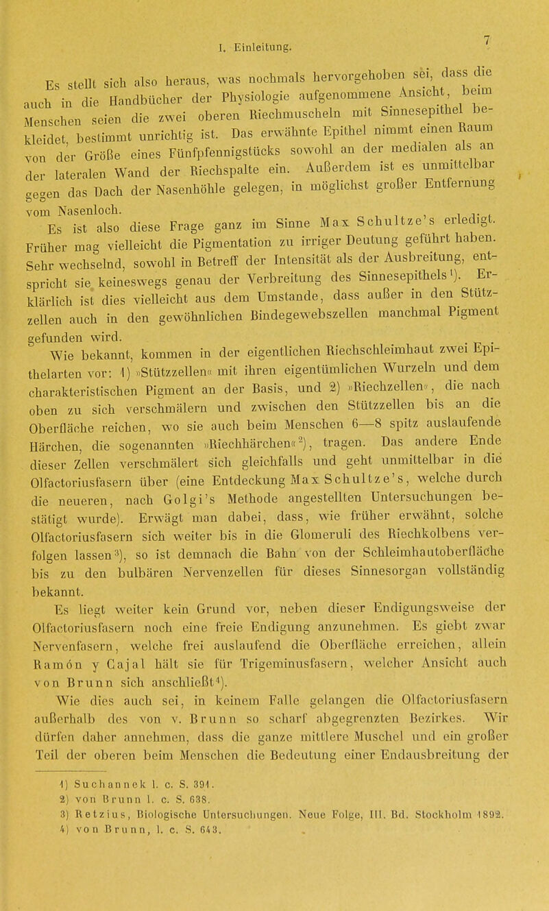 Es stellt sich also heraus, was nochmals hervorgehoben ^ f™ ** auch in die Handbücher der Physiologie aufgenommene Ansicht beim Menschen seien die zwei oberen Riechmuscheln mit Sinnesepithel be- kleidet bestimmt unrichtig ist. Das erwähnte Epithel nimmt einen Raum von der Größe eines Fünfpfennigstücks sowohl an der medialen als an der lateralen Wand der Riechspalte ein. Außerdem ist es unmittelbar das Dach der Nasenhöhle gelegen, in möglichst großer Entfernung gegen vom Nasenloch. Es ist also diese Frage ganz im Sinne Max Schnitze s erledigt. Früher mag vielleicht die Pigmentation zu irriger Deutung geführt haben. Sehr wechselnd, sowohl in Betreff der Intensität als der Ausbreitung, ent- spricht sie keineswegs genau der Verbreitung des Sinnesepithels'). Er- klärlich ist dies vielleicht aus dem Umstände, dass außer m den Stutz- zellen auch in den gewöhnlichen Bindegewebszellen manchmal Pigment gefunden wird. . Wie bekannt, kommen in der eigentlichen Biechschleimhaut zwei Epi- thelarten vor: \) »Stützzellen« mit ihren eigentümlichen Wurzeln und dem charakteristischen Pigment an der Basis, und 2) »Riechzellen«, die nach oben zu sich verschmälern und zwischen den Stützzellen bis an die Oberfläche reichen, wo sie auch beim Menschen 6—8 spitz auslaufende Härchen, die sogenannten »Riechhärchen«2), tragen. Das andere Ende dieser Zellen verschmälert sich gleichfalls und geht unmittelbar in die Olfactoriusfasern über (eine Entdeckung Max Schultze's, welche durch die neueren, nach Golgi's Methode angestellten Untersuchungen be- stätigt wurde). Erwägt man dabei, dass, wie früher erwähnt, solche Olfactoriusfasern sich weiter bis in die Glomeruli des Riechkolbens ver- folgen lassen3), so ist demnach die Bahn von der Schleimhautoberfläche bis zu den bulbären Nervenzellen für dieses Sinnesorgan vollständig bekannt. Es liegt weiter kein Grund vor, neben dieser Endigungsweise der Olfactoriusfasern noch eine freie Endigung anzunehmen. Es giebt zwar Nervenfasern, welche frei auslaufend die Oberfläche erreichen, allein Ramön y Cajal hält sie für Trigeminusfasern, welcher Ansicht auch von Brunn sich anschließt4). Wie dies auch sei, in keinem Falle gelangen die Olfactoriusfasern außerhalb des von v. Brunn so scharf abgegrenzten Bezirkes. Wir dürfen daher annehmen, dass die ganze initiiere Muschel und ein großer Teil der oberen beim Menschen die Bedeutung einer Endausbreilung der 1) Suchannek 1. c. S. 391. 2) von B i'unn 1. c. S. 638. 3) Retzius, Biologische Untersuchungen. Neue Folye, III. Bd. Stockholm 1892. 4) von Brunn, 1. c. S. 64 3.