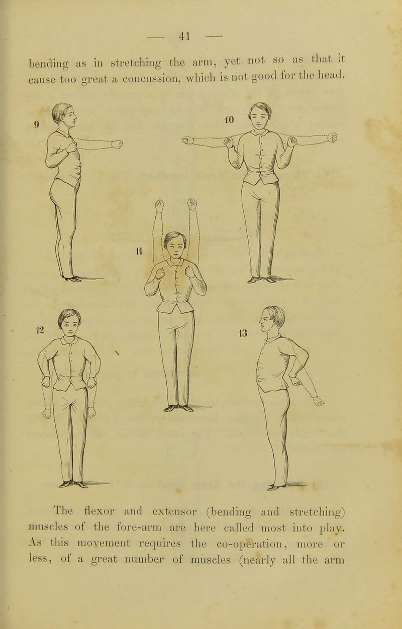 The flexor and extensor (bending and stretching) muscles of the fore-arm are here called most into play. As this movement requires the co-operation, more or less, of a great number of muscles (nearly all the arm