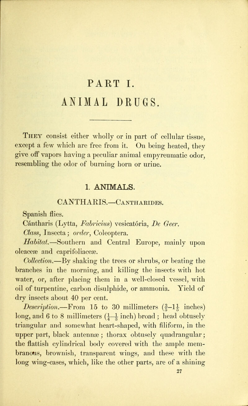 PART I. ANIMAL DRUGS. They consist either wholly or in part of cellular tissue, except a few which are free from it. On being heated, they give off vapors having a peculiar animal empyreumatic odor, resembling the odor of burning horn or urine. 1. ANIMALS. CANTHARIS.—Cantharides. Spanish flies. Cantharis (Lytta, Fabricius) vesicatoria, De Geer. Class, Insecta; order, Coleoptera. Habitat.—Southern and Central Europe, mainly upon oleacese and caprifoliaceaa. Collection.—By shaking the trees or shrubs, or beating the branches in the morning, and killing the insects with hot water, or, after placing them in a well-closed vessel, with oil of turpentine, carbon disulphide, or ammonia. Yield of dry insects about 40 per cent. Description.—From 15 to 30 millimeters (f—1\ inches) long, and 6 to 8 millimeters Q—^- inch) broad ; head obtusely triangular and somewhat heart-shaped, with filiform, in the upper part, black antennae ; thorax obtusely quadrangular; the flattish cylindrical body covered with the ample mem- branous, brownish, transparent wings, and these with the long wing-cases, which, like the other parts, are of a shining