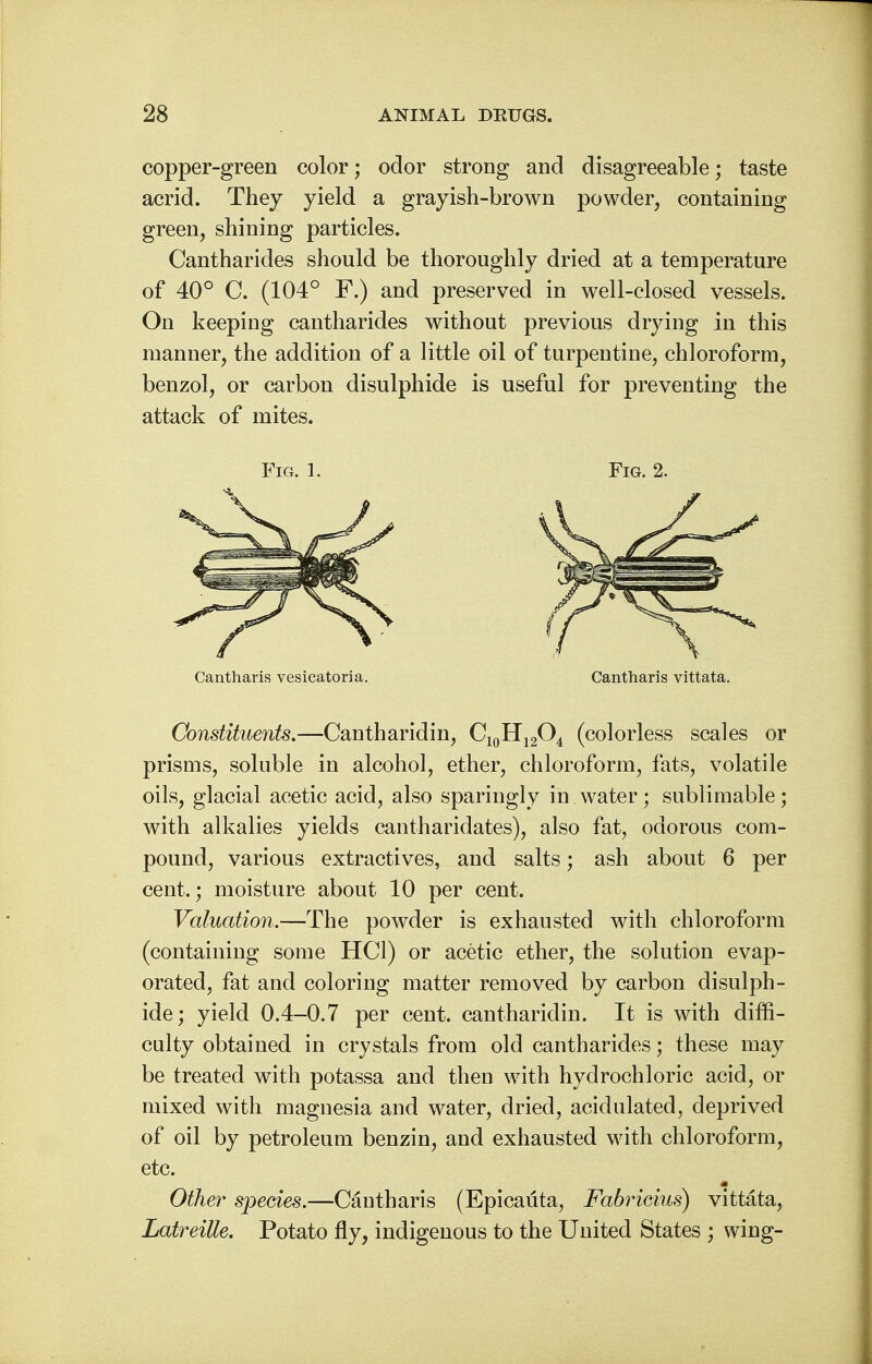 copper-green color; odor strong and disagreeable; taste acrid. They yield a grayish-brown powder, containing green, shining particles. Cantharides should be thoroughly dried at a temperature of 40° C. (104° F.) and preserved in well-closed vessels. On keeping cantharides without previous drying in this manner, the addition of a little oil of turpentine, chloroform, benzol, or carbon disulphide is useful for preventing the attack of mites. Fig. 1. Fig. 2. Cantharis vesicatoria. Cantharis vittata. Constituents.—Cantharidin, C10H12O4 (colorless scales or prisms, soluble in alcohol, ether, chloroform, fats, volatile oils, glacial acetic acid, also sparingly in water; sublimable; with alkalies yields cantharidates), also fat, odorous com- pound, various extractives, and salts; ash about 6 per cent.; moisture about 10 per cent. Valuation.—The powder is exhausted with chloroform (containing some HC1) or acetic ether, the solution evap- orated, fat and coloring matter removed by carbon disulph- ide; yield 0.4-0.7 per cent, cantharidin. It is with diffi- culty obtained in crystals from old cantharides; these may be treated with potassa and then with hydrochloric acid, or mixed with magnesia and water, dried, acidulated, deprived of oil by petroleum benzin, and exhausted with chloroform, etc. Other species.—Cantharis (Epicauta, Fabricius) vittata, Latreille. Potato fly, indigenous to the United States ; wing-