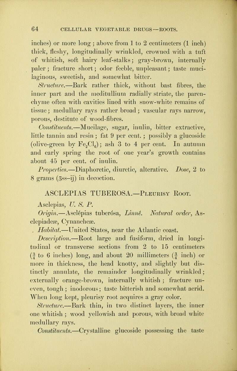 inches) or more long ; above from 1 to 2 centimeters (1 inch) thick, fleshy, longitudinally wrinkled, crowned with a tuft of whitish, soft hairy leaf-stalks; gray-brown, internally paler; fracture short; odor feeble, unpleasant; taste muci- laginous, sweetish, and somewhat bitter. Structure.—Bark rather thick, without bast fibres, the inner part and the meditullium radially striate, the paren- chyme often with cavities lined with snow-white remains of tissue; medullary rays rather broad; vascular rays narrow, porous, destitute of wood-fibres. Constituents.—Mucilage, sugar, inulin, bitter extractive, little tannin and resin ; fat 9 per cent. ; possibly a glucoside (olive-green by Fe2Cl6); ash 3 to 4 per cent. In autumn and early spring the root of one year's growth contains about 45 per cent, of inulin. Properties.—Diaphoretic, diuretic, alterative. Dose, 2 to 8 grams (3ss-ij) in decoction. ASCLEPIAS TUBEROSA.—Pleurisy Root. Asclepias, U. S. P. Origin.—Asclepias tuberosa, LinnL Natural order, As- clepiadese, Cynanchese. . Habitat.—United States, near the Atlantic coast. Description.—Root large and fusiform, dried in longi- tudinal or transverse sections from 2 to 15 centimeters (f to 6 inches) long, and about 20 millimeters (f inch) or more in thickness, the head knotty, and slightly but dis- tinctly annulate, the remainder longitudinally wrinkled; externally orange-brown, internally whitish ; fracture un- even, tough; inodorous; taste bitterish and somewhat acrid. When long kept, pleurisy root acquires a gray color. Structure.—Bark thin, in two distinct layers, the inner one whitish ; wood yellowish and porous, with broad white medullary rays. Constituents.—Crystalline glucoside possessing the taste