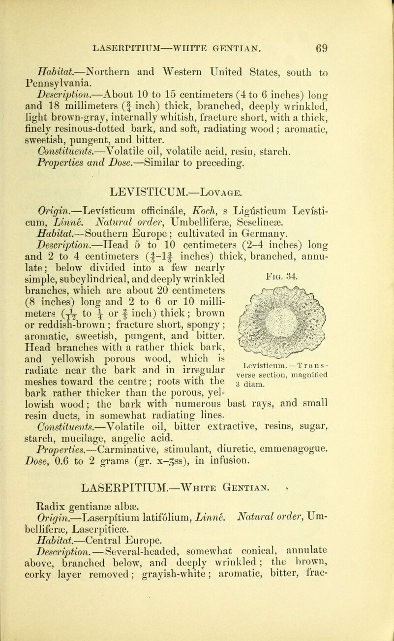 Habitat.—Northern and Western United States, south to Pennsylvania. Description.—About 10 to 15 centimeters (4 to 6 inches) long and 18 millimeters (f inch) thick, branched, deeply wrinkled, light brown-gray, internally whitish, fracture short, with a thick, finely resinous-dotted bark, and soft, radiating wood ; aromatic, sweetish, pungent, and bitter. Constituents— Volatile oil, volatile acid, resiu, starch. Properties and Dose.—Similar to preceding. LEVISTICUM.—Lovage. Origin.—Levfsticum officinale, Koch, s Ligiisticum Levisti- cum, Linne. Natural order, Umbelliferse, Seselinese. Habitat.—Southern Europe; cultivated in Germany. Description.—Head 5 to 10 centimeters (2-4 inches) long and 2 to 4 centimeters (f-lf inches) thick, branched, annu- late; below divided into a few nearly simple, subcylindrical, and deeply wrinkled FlG- 34- branches, which are about 20 centimeters /nT^ (8 inches) long and 2 to 6 or 10 milli- f;. meters (yy to \ or -| inch) thick; brown or reddish-brown ; fracture short, spongy ; ) ° aromatic, sweetish, pungent, and bitter. ? Head branches with a rather thick bark, \_ _ - ' and yellowish porous wood, which is radiate near the bark and in irregular .Z^d meshes toward the centre; roots with the 3 diam bark rather thicker than the porous, yel- lowish wood; the bark with numerous bast rays, and small resin ducts, in somewhat radiating lines. Constituents.—Volatile oil, bitter extractive, resins, sugar, starch, mucilage, angelic acid. Properties.—Carminative, stimulant, diuretic, emmenagogue. Dose, 0.6 to 2 grams (gr. x~3ss), in infusion. LASERPITIUM.—White Gentian. , Radix gentianse albse. Origin.—Laserpitium latifolium, Linne. Natural order, Um- bel liferse, Laser pitiese. Habitat.—Central Europe. Description. — Several-headed, somewhat conical, annulate above, branched below, and deeply wrinkled; the brown, corky layer removed; grayish-white; aromatic, bitter, frac-