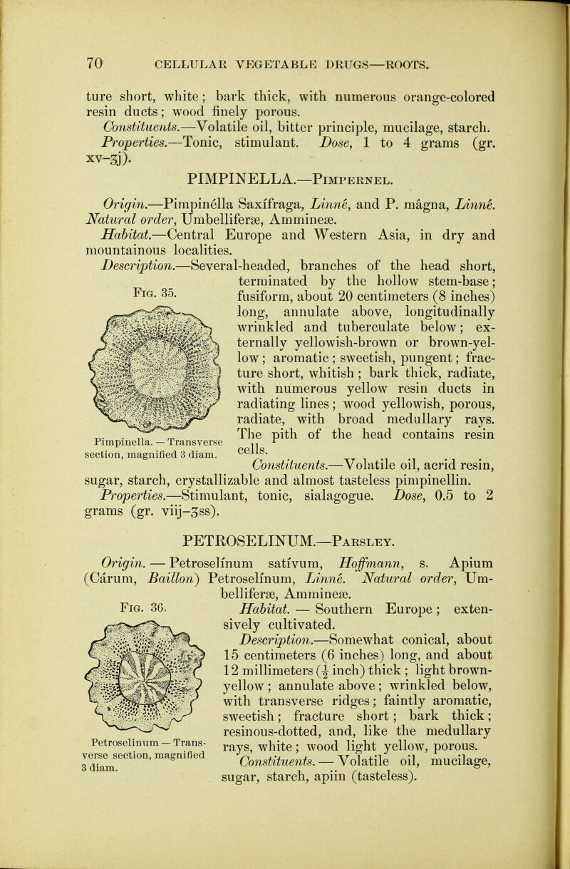 Fig. 35. ture short, white; bark thick, with numerous orange-colored resin ducts; wood finely porous. Constituents.—Volatile oil, bitter principle, mucilage, starch. Properties.—Tonic, stimulant. Dose, 1 to 4 grams (gr. PIMPINELLA.—Pimpernel. Origin.—Pimpinella Saxifraga, Linne, and P. magna, Linne. Natural order, Umbelliferse, Amminese. Habitat.—Central Europe and Western Asia, in dry and mountainous localities. ion.—Several-headed, branches of the head short, terminated by the hollow stem-base ; fusiform, about 20 centimeters (8 inches) long, annulate above, longitudinally wrinkled and tuberculate below; ex- ternally yellowish-brown or brown-yel- low ; aromatic ; sweetish, pungent; frac- ture short, whitish; bark thick, radiate, with numerous yellow resin ducts in radiating lines; wood yellowish, porous, radiate, with broad medullary rays. The pith of the head contains resin cells. Constituents.—Volatile oil, acrid resin, sugar, starch, crystallizable and almost tasteless pimpinellin. Properties.—Stimulant, tonic, sialagogue. Dose, 0.5 to 2 grams (gr. viij-^ss). Pimpinella. — Transverse section, magnified 3 diam. PETROSELINUM.—Parsley. Origin. — Petrosellnum sativum, Hoffmann, s. Apium (Carum, Baillon) Petrosellnum, Linne. Natural order, Um- belliferse, Amminese. Habitat. — Southern Europe ; exten- sively cultivated. Description.—Somewhat conical, about 15 centimeters (6 inches) long, and about 12 millimeters (-J inch) thick ; light brown- yellow ; annulate above; wrinkled below, with transverse ridges; faintly aromatic, sweetish; fracture short; bark thick; resinous-dotted, and, like the medullary rays, white; wood light yellow, porous. Constituents. — Volatile oil, mucilage, sugar, starch, apiin (tasteless). Petroselinum — Trans- verse section, magnified 3 diam.