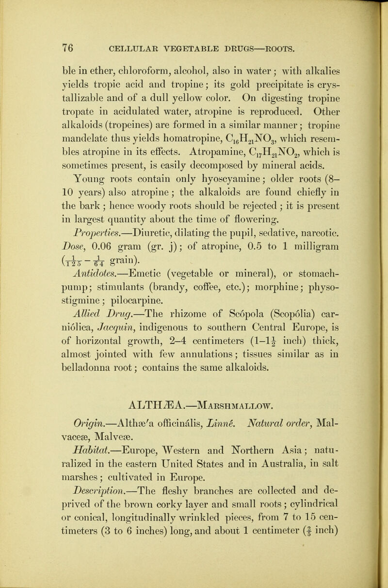 ble in ether, chloroform, alcohol, also in water; with alkalies yields tropic acid and tropine; its gold precipitate is crys- tallizable and of a dull yellow color. On digesting tropine tropate in acidulated water, atropine is reproduced. Other alkaloids (tropeines) are formed in a similar manner; tropine mandelate thus yields homatropine, C16H21N03, which resem- bles atropine in its effects. Atropamine, C17H21N02, which is sometimes present, is easily decomposed by mineral acids. Young roots contain only hyoscyamine; older roots (8- 10 years) also atropine; the alkaloids are found chiefly in the bark ; hence woody roots should be rejected ; it is present in largest quantity about the time of flowering. Properties.—Diuretic, dilating the pupil, sedative, narcotic. Dose, 0.06 gram (gr. j); of atropine, 0.5 to 1 milligram (t¥5-6T grain)- Antidotes.—Emetic (vegetable or mineral), or stomach- pump; stimulants (brandy, coffee, etc.); morphine; physo- stigmine; pilocarpine. Allied Drug.—The rhizome of Scopola (Scopolia) car- niolica, Jacquin, indigenous to southern Central Europe, is of horizontal growth, 2-4 centimeters (1—1J inch) thick, almost jointed with few annulations; tissues similar as in belladonna root; contains the same alkaloids. ALTHAEA.—Marshmallow. Origin.—Althaea officinalis, LinnS. Natural order, Mal- vacese, Malvese. Habitat.—Europe, Western and Northern Asia; natu- ralized in the eastern United States and in Australia, in salt marshes; cultivated in Europe. Description.—The fleshy branches are collected and de- prived of the brown corky layer and small roots; cylindrical or conical, longitudinally wrinkled pieces, from 7 to 15 cen- timeters (3 to 6 inches) long, and about 1 centimeter (f inch)