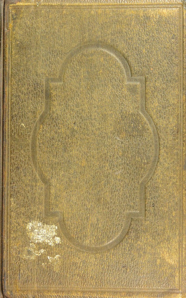 No text description is available for this image