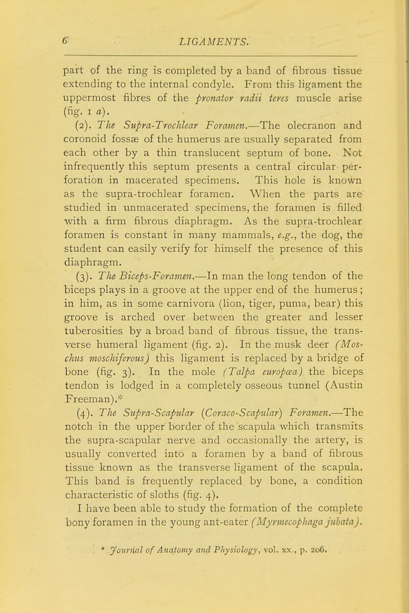 part of the ring is completed by a band of fibrous tissue extending to the internal condyle. From this ligament the uppermost fibres of the pronator radii teres muscle arise (fig. 1 a). (2) . The Stipra-Trochlear Forasten.—The olecranon and coronoid fossae of the humerus are usually separated from each other by a thin translucent septum of bone. Not infrequently this septum presents a central circular per- foration in macerated specimens. This hole is known as the supra-trochlear foramen. When the parts are- studied in unmacerated specimens, the foramen is filled with a firm fibrous diaphragm. As the supra-trochlear foramen is constant in many mammals, e.g., the dog, the student can easily verify for himself the presence of this diaphragm. (3) . The Biceps-Foramen.—In man the long tendon of the biceps plays in a groove at the upper end of the humerus; in him, as in some carnivora (lion, tiger, puma, bear) this groove is arched over between the greater and lesser tuberosities by a broad band of fibrous tissue, the trans- verse humeral ligament (fig. 2). In the musk deer (Mas- chiis moschiferous) this ligament is replaced by a bridge of bone (fig. 3). In the mole (Talpa eiiropcea) the biceps tendon is lodged in a completely osseous tunnel (Austin Freeman).* (4) . The Supra-Scapular {Coraco-Scapillar) Foramen.—The notch in the upper border of the scapula which transmits the supra-scapular nerve and occasionally the artery, is usually converted into a foramen by a band of fibrous tissue known as the transverse ligament of the scapula. This band is frequently replaced, by bone, a condition characteristic of sloths (fig. 4). I have been able to study the formation of the complete bony foramen in the young ant-eater (Myrmecophaga jnhata). * youn^al of Anatomy and Physiology, \o\. xx., p. 206.