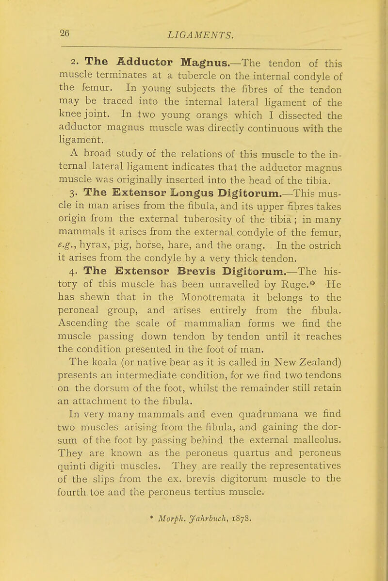 2. The Adductor Magnus.—The tendon of this muscle terminates at a tubercle on the internal condyle of the femur. In young subjects the fibres of the tendon may be traced into the internal lateral ligament of the knee joint. In two young orangs which I dissected the adductor magnus muscle was directly continuous with the ligament. A broad study of the relations of this muscle to the in- ternal lateral ligament indicates that the adductor magnus muscle was originally inserted into the head of the tibia. 3. The Extensor liongus Digitorum.—This mus- cle in man arises from the fibula, and its upper fibres takes origin from the external tuberosity of the tibia ; in many mammals it arises from the external condyle of the femur, e.g., hyrax, pig, horse, hare, and the orang. In the ostrich it arises from the condyle by a very thick tendon. 4. The Extensor Brevis Digitorum.—The his- tory of this muscle has been unravelled by Ruge.*' He has shewn that in the Monotremata it belongs to the peroneal group, and arises entirely from the fibula. Ascending the scale of mammalian forms we find the muscle passing down tendon by tendon until it reaches the condition presented in the foot of man. The koala (or native bear as it is called in New Zealand) presents an intermediate condition, for we find two tendons on the dorsum of the foot, whilst the remainder still retain an attachment to the fibula. In very many mammals and even quadrumana we find two muscles arising from the fibula, and gaining the dor- sum of the foot by passing behind the external malleolus. They are known as the peroneus quartus and peroneus quinti digiti muscles. They are really the representatives of the slips from the ex. brevis digitorum muscle to the fourth toe and the peroneus tertius muscle. * Morph. jfahrbuch, 187S.