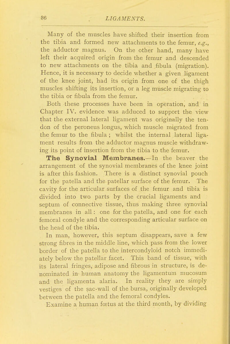 Many of the muscles have shifted their insertion from the tibia and formed new attachments to the femur, e.g., the adductor magnus. On the other hand, many have left their acquired origin from the femur and descended to new attachments on the tibia and fibula (migration). Hence, it is necessary to decide whether a given ligament of the knee joint, had its origin from one of the thigh muscles shifting its insertion, or a leg muscle migrating to the tibia or fibula from the femur. Both these processes have been in operation, and in Chapter IV. evidence was adduced to support the view that the external lateral ligament was originally the ten- don of the peroneus longus, which muscle migrated from the femur to the fibula ; whilst the internal lateral liga- ment results from the adductor magnus muscle withdraw- ing its point of insertion from the tibia to the femur. The Synovial Membranes.—In the beaver the arrangement of the synovial membranes of the knee joint is after this fashion. There is a distinct synovial pouch for the patella and the patellar surface of the femur. The cavity for the articular surfaces of the femur and tibia is divided into two parts by the crucial ligaments and septum of connective tissue, thus making three synovial membranes in all: one for the patella, and one for each femoral condyle and the corresponding articular surface on the head of the tibia. In man, however, this septum disappears, save a few strong fibres in the middle line, which pass from the lower border of the patella to the intercondyloid notch immedi- ately below the patellar facet. This band of tissue, with its lateral fringes, adipose and fibrous in structure, is de- nominated in- human anatomy the liganientum mucosum and the ligamenta alaria. In reaHty they are simply vestiges of the sac-wall of the bursa, originally developed between the patella and the femoral condyles. Examine a human foetus at the third month, by dividing