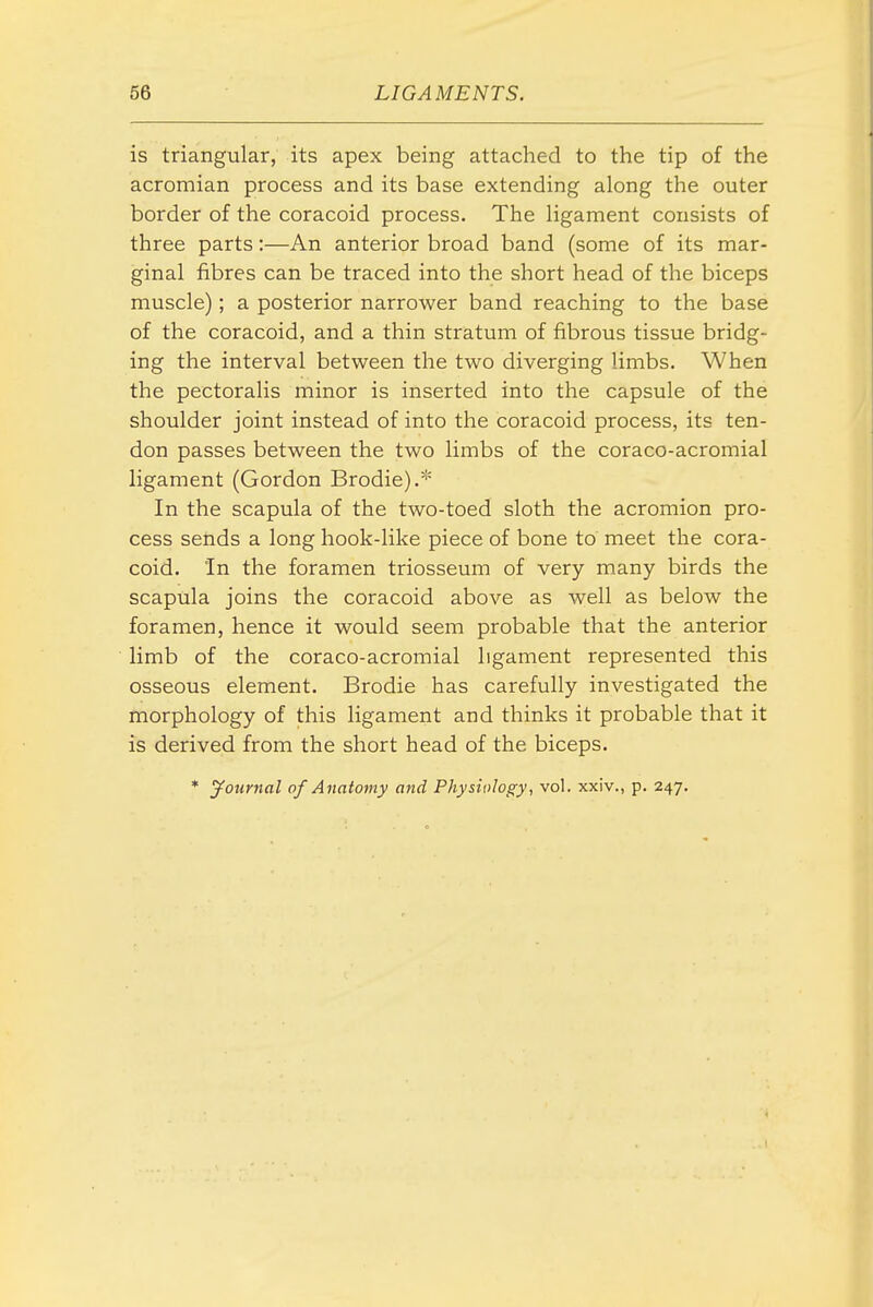 is triangular, its apex being attached to the tip of the acromian process and its base extending along the outer border of the coracoid process. The ligament consists of three parts:—An anterior broad band (some of its mar- ginal fibres can be traced into the short head of the biceps muscle); a posterior narrower band reaching to the base of the coracoid, and a thin stratum of fibrous tissue bridg- ing the interval between the two diverging limbs. When the pectoralis minor is inserted into the capsule of the shoulder joint instead of into the coracoid process, its ten- don passes between the two limbs of the coraco-acromial ligament (Gordon Brodie).* In the scapula of the two-toed sloth the acromion pro- cess sends a long hook-like piece of bone to meet the cora- coid. In the foramen triosseum of very many birds the scapula joins the coracoid above as well as below the foramen, hence it would seem probable that the anterior limb of the coraco-acromial ligament represented this osseous element. Brodie has carefully investigated the morphology of this ligament and thinks it probable that it is derived from the short head of the biceps.