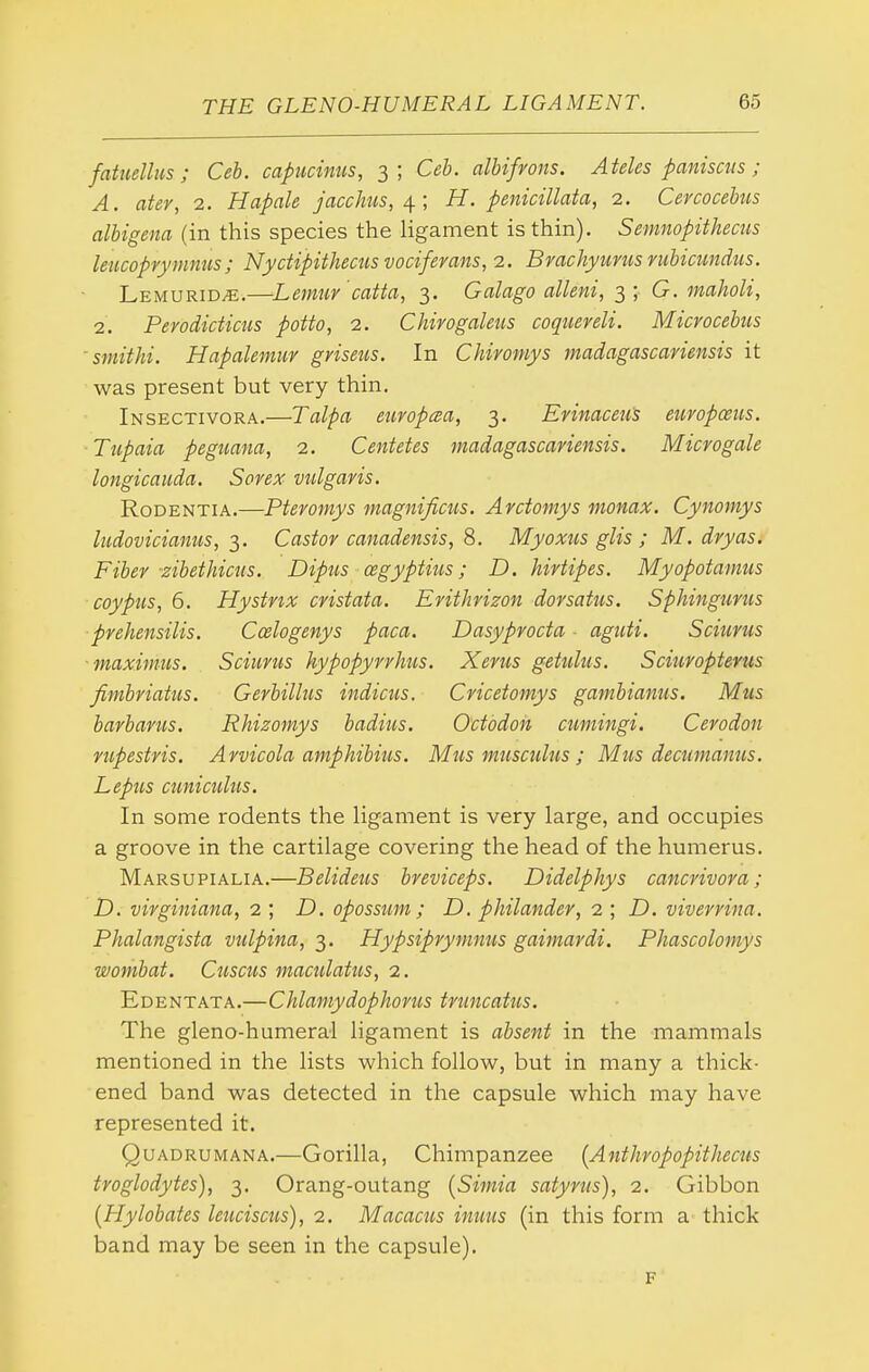 fatuellus; Ceh. capiiciniis, 3; Ceb. albifrons. Ateles panisciis; A. ater, 2. Hapale jacchus, H. penicillata, 2. Cercocebus albigena (in this species the ligament is thin). Semnopithecus leucopryninus ; Nyctipithecus vociferans, 2. Byachyurus nibicundus. Lemurid^.—Lemur catta, 2,- Galago alkni, ^ ; G. maholi, 2. Perodicticiis potto, 2. Chirogaleiis coquereli. Microcebus 'smithi. Hapalemiiv griseus. In Chiromys madagascariensis it was present but very thin. Insectivora.—Talpa europaa, 3. Erinaceu's europmis. Tupaia peguana, 2. Centetes madagascariensis. Microgale longicaiida. Sorex vulgaris. RoDENTiA.—Pteromys magnificus. Arctomys monax. Cynomys liidoviciamis, 3. Castor canadensis, 8. Myoxtis glis ; M. dryas. Fiber-zibethicus. Dipus cegyptius; D. hirtipes. Myopotamus coypus, 6. Hystnx cristata. Erithrizon dorsatus. Sphingurus prehensilis. Ccelogenys paca. Dasyprocta aguti. Sciurus maxim-US. Sciurus hypopyrrhtis. Xerus getulus. Scimopterus fimbriatus. Gerbillus indicus. Cricetomys gambianus. Mus barbarus. Rhizomys badiiis. Octodon cumingi. Cerodon rupestris. Arvicola amphibius. Mus musculus ; Mus decumanus. Lepus cuniculus. In some rodents the ligament is very large, and occupies a groove in the cartilage covering the head of the humerus. Marsupialia.—Belideus breviceps. Didelphys cancrivora ; D. virginiana, 2 ; D. opossum ; D. philander, 2 ; D. viverrina. Phalangista vulpina, 3. Hypsiprymnus gaimardi. Phascolomys wombat. Cuscus maculatus, 2. Edentata.—Chlamydophorus truncatus. The gleno-humeral ligament is absent in the mammals mentioned in the lists which follow, but in many a thick- ened band was detected in the capsule which may have represented it. QuADRUMANA.—Gorilla, Chimpanzee [Anthropopithecus troglodytes), 3. Orang-outang (Simia satyrus), 2. Gibbon (Hylobates leucisctis), 2. Macacus inuus (in this form a thick band may be seen in the capsule). F