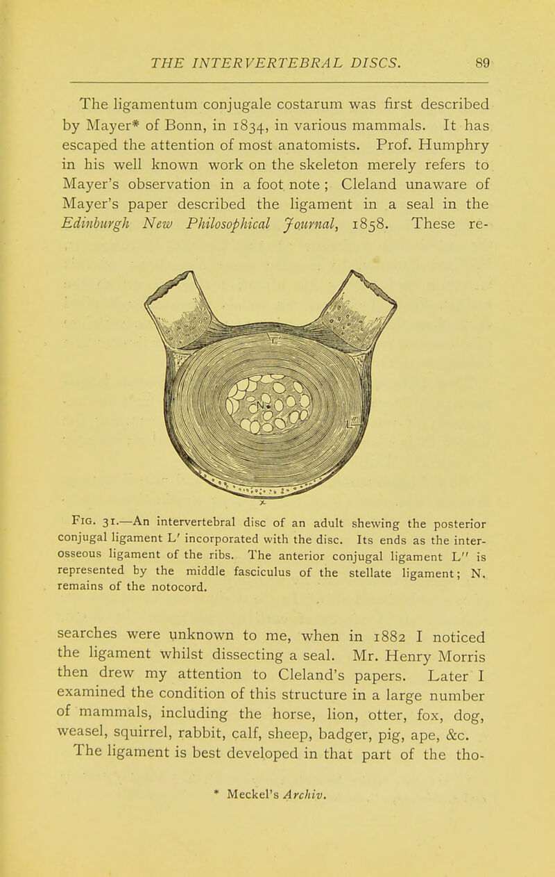 The ligamentum conjugale costarum was first described by Mayer* of Bonn, in 1834, various mammals. It has escaped the attention of most anatomists. Prof. Humphry in his well known work on the skeleton merely refers to Mayer's observation in a foot note ; Cleland unaware of Mayer's paper described the ligament in a seal in the Edinburgh New Philosophical Journal, 1858. These re- FiG. 31.—An intervertebral disc of an adult shewing the posterior conjugal ligament L' incorporated with the disc. Its ends as the inter- osseous ligament of the ribs. The anterior conjugal ligament L is represented by the middle fasciculus of the stellate ligament; N, remains of the notocord. searches were unknown to me, when in 1882 I noticed the ligament whilst dissecting a seal. Mr. Henry Morris then drew my attention to Cleland's papers. Later I examined the condition of this structure in a large number of mammals, including the horse, lion, otter, fox, dog, weasel, squirrel, rabbit, calf, sheep, badger, pig, ape, &c. The ligament is best developed in that part of the tho- * Meckel's ^rc/u'y.