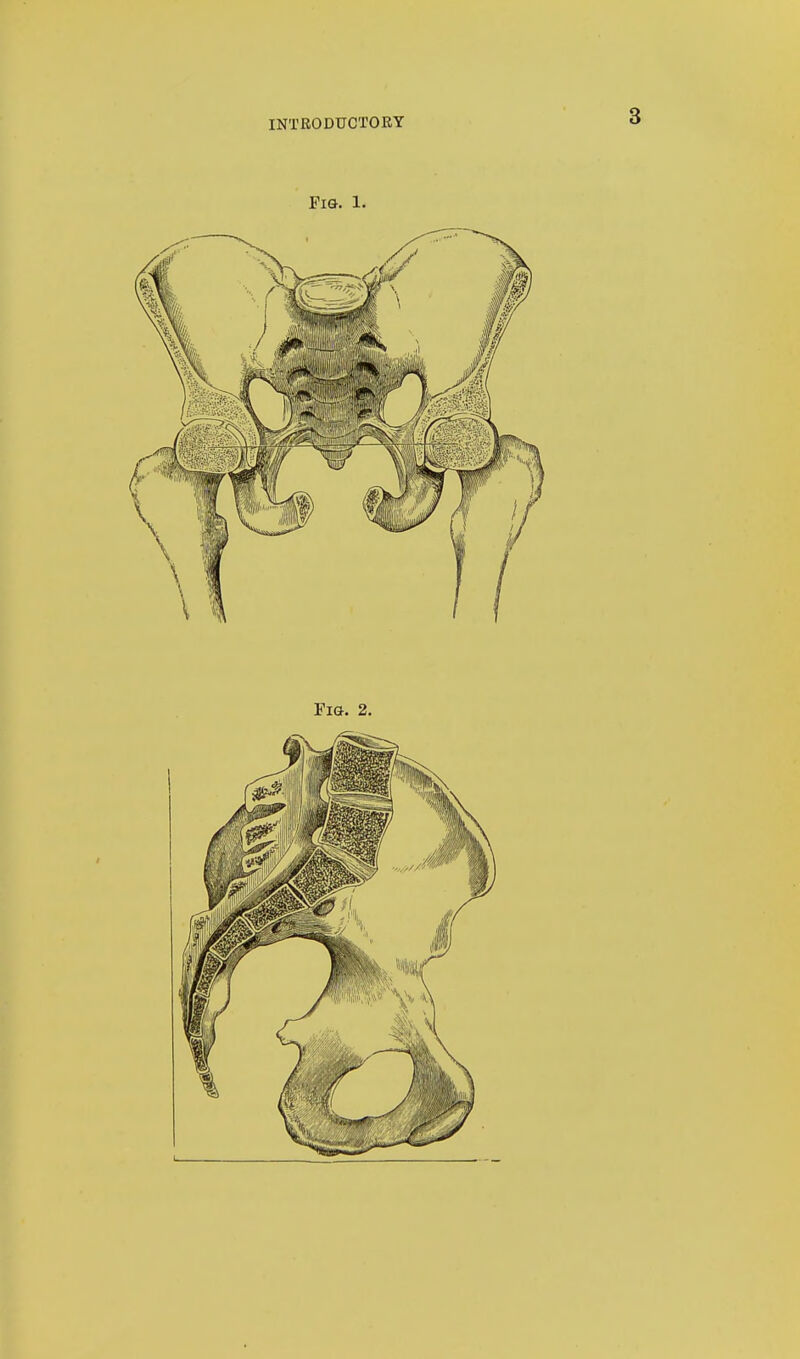 FIG. 1. Fig. 2.