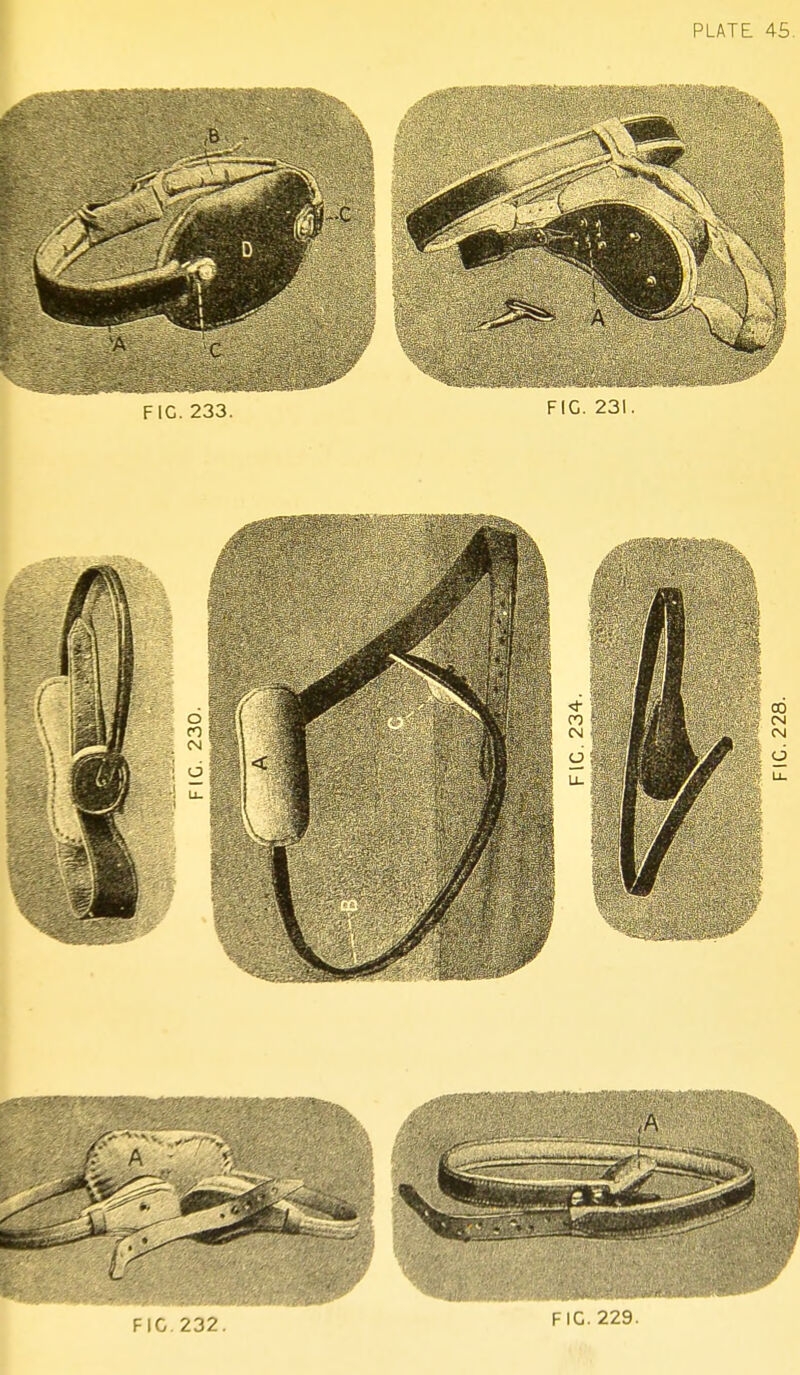PLATE 45. 32 1- IC. 213