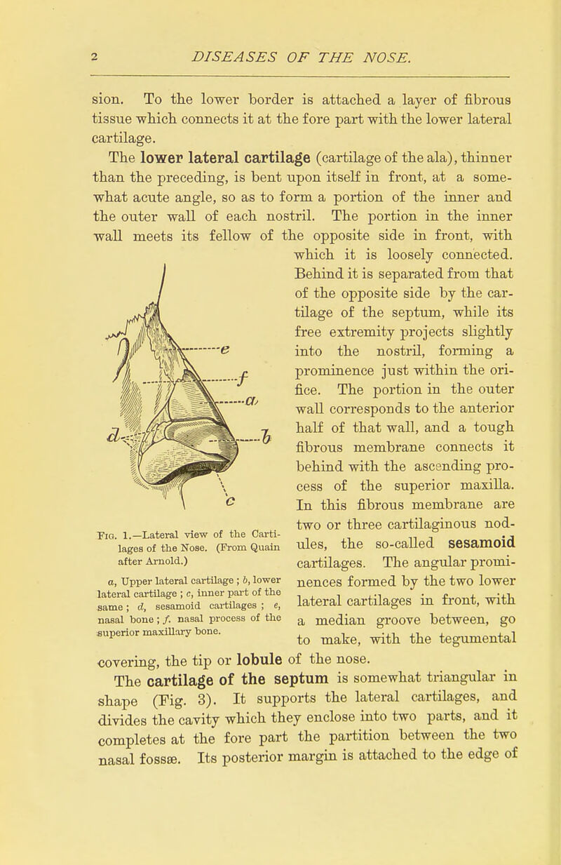 sion. To the lower border is attached a layer of fibrous tissue whicli connects it at the fore part with the lower lateral cartilage. The lower lateral cartilage (cartilage of the ala), thinner than the preceding, is bent upon itself in front, at a some- what acute angle, so as to form a portion of the inner and the outer wall of each nostril. The portion in the inner wall meets its fellow of the opposite side in front, with which it is loosely connected. Behind it is separated from that of the opposite side by the car- tilage of the septum, while its iin ft\\-K extremity projects slightly flf vf'STOT^ i^^'O nostril, forming a ffi f prominence just within the ori- '  ' £gg rpj^g portion in the outer wall corresponds to the anterior half of that wall, and a tough fibrous membrane connects it behind with the ascending pro- cess of the superior maxilla. In this fibrous membrane are two or three cartilaginous nod- ules, the so-called sesamoid cartilages. The angular promi- nences formed by the two lower lateral cartilages in front, with a median groove between, go to make, with the tegumental covering, the tip or lobule of the nose. The cartilage of the septum is somewhat triangular in shape (Fig. 3). It supports the lateral cartilages, and divides the cavity which they enclose into two parts, and it completes at the fore part the partition between the two nasal foss». Its posterior margin is attached to the edge of Pio. 1.—Lateral view of the Carti- lages of the Nose. (From Quain after Arnold.) a, Upper lateral cartilage; b, lower lateral cartilage ; c, inner part of the same; d, sesamoid cartUages ; e, nasal bone ; /. nasal process of the superior maxillary bone.