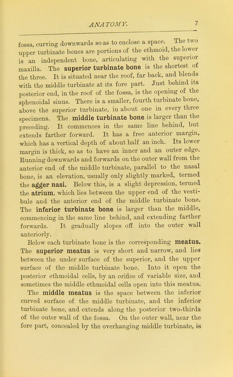 ANATOMY. fossa, curving downwards so as to enclose a space. The two upper turbinate bones are portions of the ethmoid, the lower is an independent bone, articulating with the superior maxilla. The superior turbinate bone is the shortest of the three. It is situated near the roof, far back, and blends with the middle turbinate at its fore part. Just behind its posterior end, in the roof of the fossa, is the opening of the sphenoidal sinus. There is a smaller, fourth turbinate bone, above the superior turbinate, in about one in every three specimens. The middle turbinate bone is larger than the preceding. It commences in the same line behind, but extends farther forward. It has a free anterior margin, which has a vertical depth of about half an inch. Its lower margin is thick, so as to have an inner and an outer edge. Eunning downwards and forwards on the outer wall from the anterior end of the middle turbinate, parallel to the nasal bone, is an elevation, usually only slightly marked, termed the agger nasi. Below this, is a slight depression, termed the atrium, which Ues between the upper end of the vesti- bule and the anterior end of the middle turbinate bone. The inferior turbinate bone is larger tha,n the middle, commencing in the same line behind, and extending farther forwards. It gradually slopes off into the outer wall anteriorly. Below each turbinate bone is the corresponding meatus. The superior meatus is yery short and narrow, and lies* between the under surface of the superior, and the upper surface of the middle turbinate bone. Into it open the posterior ethmoidal cells, by an orifice of variable size, and sometimes the middle ethmoidal cells open into this meatus. The middle meatus is the space between the inferior curved surface of the middle turbinate, and the inferior turbinate bone, and extends along the posterior two-thirds of the outer wall of the fossa. On the outer wall, near the fore part, concealed by the overhanging middle turbinate, is