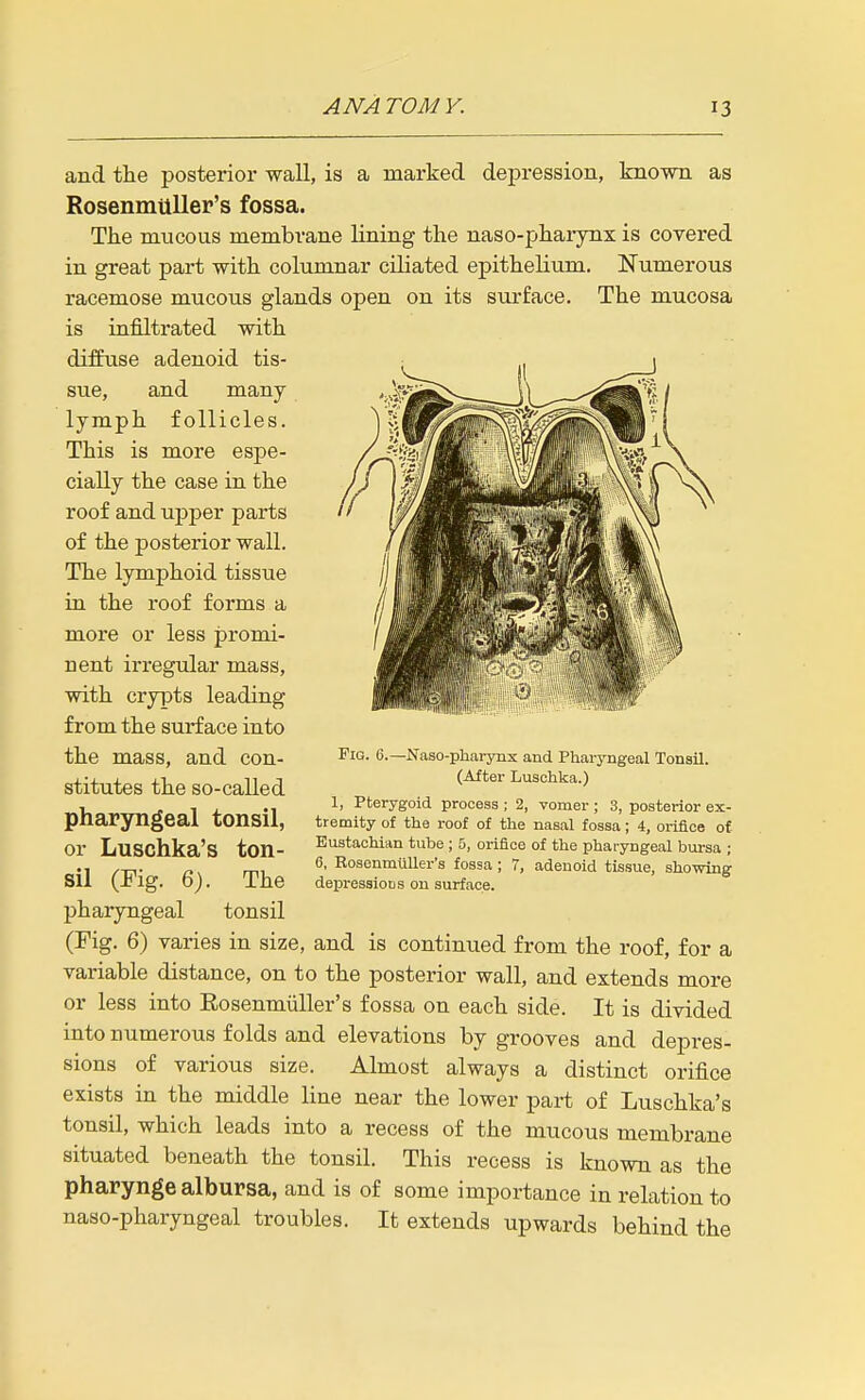 and the posterior wall, is a marked depression, known as Rosenmtlller's fossa. The mucous membrane lining the naso-pharynx is covered in great part with columnar ciliated epithelium. Numerous racemose mucous glands open on its surface. The mucosa is infiltrated with diffuse adenoid tis- sue, and many lymph follicles. This is more espe- cially the case in the roof and ujjper parts of the posterior wall. The lymphoid tissue in the roof forms a more or less promi- nent irregular mass, with crypts leading from the surface into the mass, and con- stitutes the so-called pharyngeal tonsil, or Luschka's ton- sil (Fig. 6). The pharyngeal tonsil (Fig. 6) varies in size, and is continued from the roof, for a variable distance, on to the posterior wall, and extends more or less into Rosenmiiller's fossa on each side. It is divided into numerous folds and elevations by grooves and depres- sions of various size. Almost always a distinct orifice exists in the middle line near the lower part of Luschka's tonsil, which leads into a recess of the mucous membrane situated beneath the tonsil. This recess is known as the pharynge albursa, and is of some importance in relation to naso-pharyngeal troubles. It extends upwards behind the Fig. 6.—JSTaso-pharynx and Pharyngeal Tonsil. (After Luschka.) 1, Pterygoid process ; 2, vomer ; 3, posterior ex- tremity of the roof of the nasal fossa; 4, orifice of Eustachian tube ; 5, orifice of the pharyngeal bursa ; 6, EosenmtUler's fossa ; 7, adenoid tissue, showing depressions on surface.