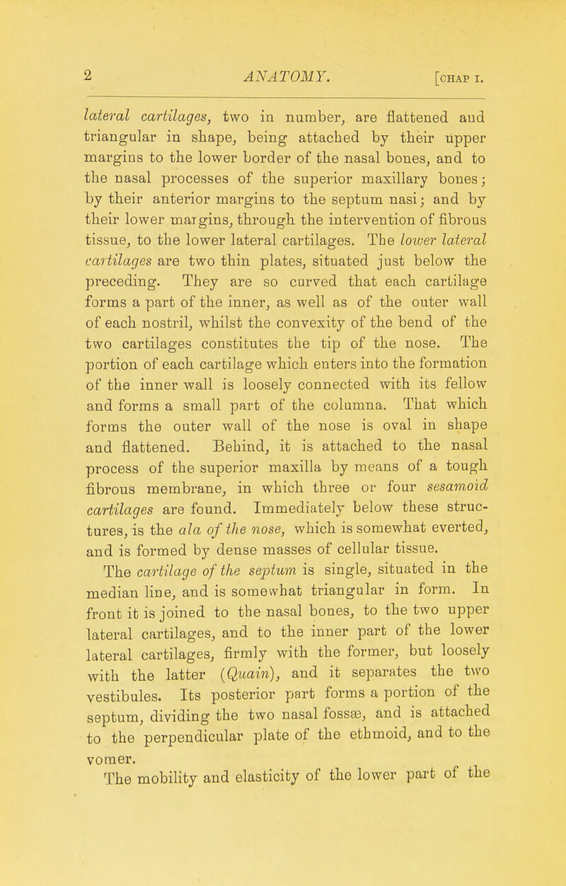 lateral cartilages, two in number^ are flattened and triangular in shape^ being attached by tbeir upper margins to the lower border of the nasal bones, and to tbe nasal processes of the superior maxillary bones; by their anterior margins to the septum nasi; and by their lower margins, thi'ough the intervention of fibrous tissue, to the lower lateral cartilages. The loiver lateral cartilages are two thin plates, situated just below the preceding. They are so curved that each cartilage forms a part of the inner, as well as of the outer wall of each nostril, whilst the convexity of the bend of the two cartilages constitutes the tip of the nose. The portion of each cartilage which enters into the formation of the inner wall is loosely connected with its fellow and forms a small part of the columna. That which forms the outer wall of the nose is oval in shape and flattened. Behind, it is attached to the nasal process of the superior maxilla by means of a tough fibrous membi-ane, in which three or four sesamoid cartilages are found. Immediately below these struc- tures, is the ala of the nose, which is somewhat everted, and is formed by dense masses of cellular tissue. The cartilage of the septum, is single, situated in the median line, and is somewhat triangular in form. In front it is joined to the nasal bones, to the two upper lateral cartilages, and to the inner part of the lower lateral cartilages, firmly with the former, but loosely with the latter (Quain), and it separates the two vestibules. Its posterior part forms a portion of the septum, dividing the two nasal fossa3, and is attached to the perpendicular plate of the ethmoid, and to the vomer. The mobility and elasticity of the lower part of the