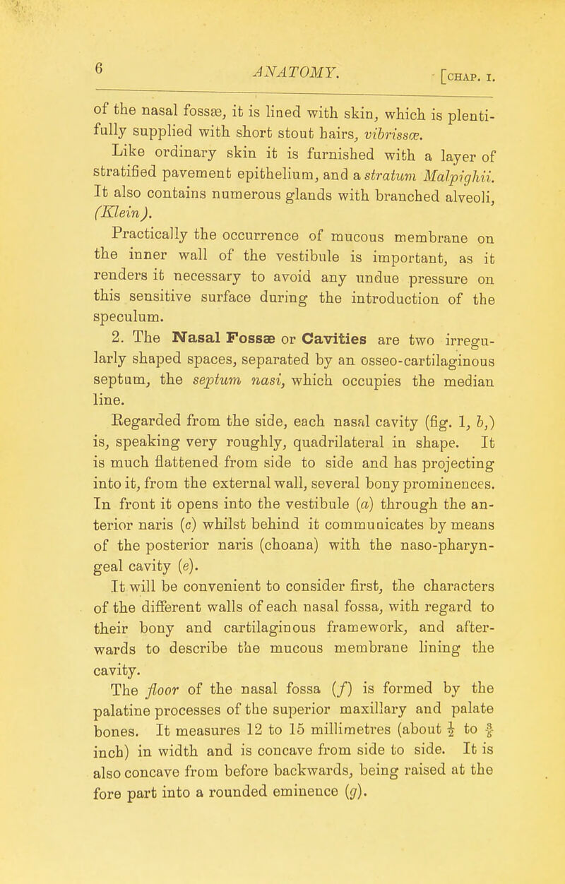 [chap. I. of the nasal fossse, it is lined with skin, which is plenti- fully supplied with short stout hairs, vibrissce. Like ordinary skin it is furnished with a layer of stratified pavement epithelium, and a stratum Malpighii. It also contains numerous glands with branched alveoli, (Klein ). Practically the occurrence of mucous membrane on the inner wall of the vestibule is important, as it renders it necessary to avoid any undue pressure on this sensitive surface during the introduction of the speculum. 2. The Nasal Fossae or Cavities are two irre^u- larly shaped spaces, separated by an osseo-cartilaginous septum, the septum nasi, which occupies the median line. Eegarded from the side, each nasal cavity (fig. 1, &,) is, speaking very roughly, quadrilateral in shape. It is much flattened from side to side and has projecting into it, from the external wall, several bony prominences. In front it opens into the vestibule (a) through the an- terior naris (c) whilst behind it commuuicates by means of the posterior naris (choana) with the naso-pharyn- geal cavity (e). It will be convenient to consider first, the characters of the different walls of each nasal fossa, with regard to their bony and cartilaginous framework, and after- wards to describe the mucous membrane lining the cavity. The floor of the nasal fossa (/) is formed by the palatine processes of the superior maxillary and palate bones. It measures 12 to 15 millimetres (about | to f inch) in width and is concave from side to side. It is also concave from before backwards, being raised at the fore part into a rounded eminence {g).