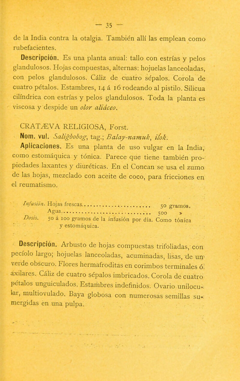 de la India contra la otalgia. También allí las emplean como rubefacientes. Descripción. Es una planta anual: tallo con estrías y pelos glandulosos. Hojas compuestas, alternas: hojuelas lanceoladas, con pelos glandulosos. Cáliz de cuatro sépalos. Corola de cuatro pétalos. Estambres, 14 á l6 rodeando al pistilo. Silicua cilindrica con estrías y pelos glandulosos. Toda la planta es viscosa y despide un olor aliáceo. CRAT^VA RELIGIOSA, Forst. Nom. vul. Saligbobog, tag.; Balay-namuk, iíok. Aplicaciones. Es una planta de uso vulgar en la India, como estomáquica y tónica. Parece que tiene también pro- piedades laxantes y diuréticas. En el Concan se usa el zumo de las hojas, mezclado con aceite de coco, para fricciones en el reumatismo. Infusión. Hojas frescas , .. 50 gramos. Ag^a 500 » Dosis. 50 á ICO gramos de la infusión por día. Como tónica y estomáquica. Descripción. Arbusto de hojas compuestas trifoliadas, con pecíolo largo; hojuelas lanceoladas, acuminadas, Üsas, de un^ verde obscuro. Flores hermafroditas en corimbos terminales 6. axilares. Cáliz de cuatro sépalos imbricados. Corola de cuatro pétalos unguiculados. Estambres indefinidos. Ovario unilocu-. kr, multiovulado. Baya globosa con numerosas semillas su- mergidas en una pulpa.