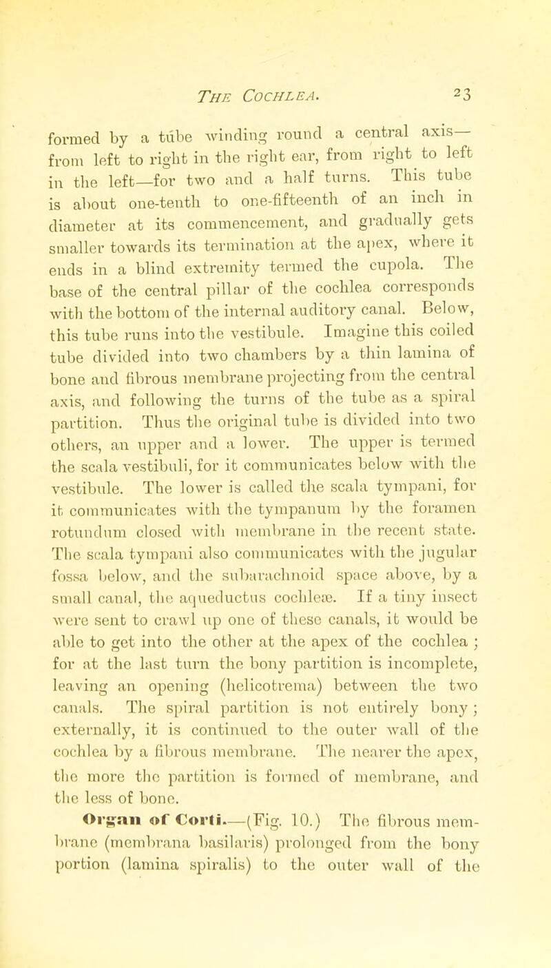 formed by a tube winding round a central axis— from left to right in the right ear, from right to left in the left—for two and a half turns. This tube is about one-tenth to one-fifteenth of an inch in diameter at its commencement, and gi-adually gets smaller towards its termination at the apex, where it ends in a blind extremity termed the cupola. Tlie base of the central pillar of the cochlea corresponds with the bottom of the internal auditory canal. Below, this tube runs into the vestibule. Imagine this coiled tube divided into two chambers by a thin lamina of bone and fibrous membi-ane projecting from the central axis, and following tlie turns of the tube as a spiral partition. Thus tlie original tube is divided into two others, an upper and a lower. The upper is termed the scala vestibuli, for it communicates below with the vestibule. The lower is called tlxe scala tympani, for it communicates with the tympanum by the foramen rotundum closed with membrane in the recent state. The scala tympani also communicates with the jugular fossa below, and the subarachnoid space above, by a small canal, the aqueductus cochlcre. If a tiny insect were sent to crawl up one of these canals, it would be able to get into the other at the apex of the cochlea ; for at the last tmni the bony partition is incomplete, leaving an opening (helicotrema) between the two canals. The spiral partition is not entirely bony ; externally, it is continued to the outer wall of the cochlea by a fibrous membrane. The nearer the apex, tlie more the partition is formed of membrane, and the less of bone. Organ of Corti—(Fig. 10.) The fibrous mem- brane (mcmbrana basilaris) prolonged from the bony portion (lamina spiralis) to the outer wall of the