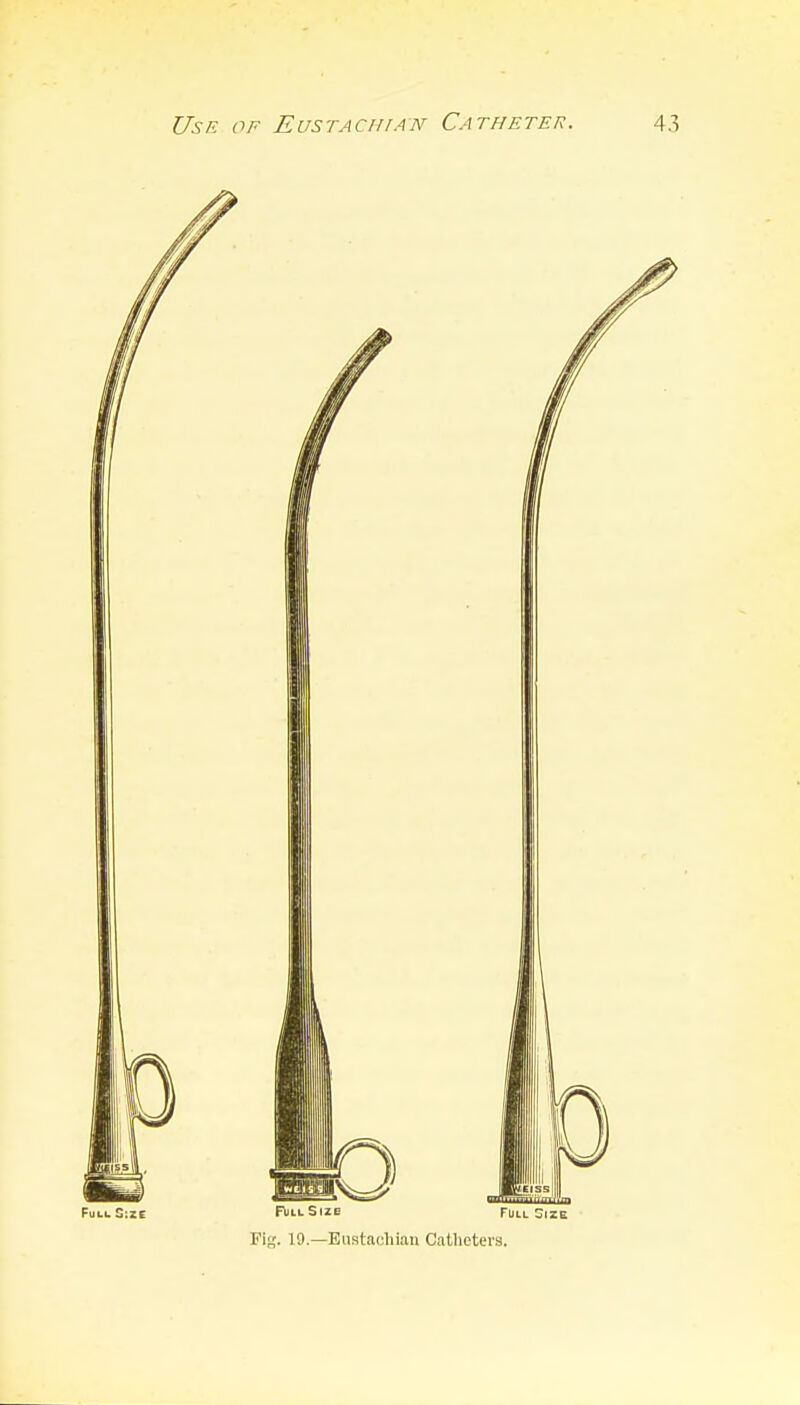 Use of Eustachian Catheter. Full Size Fuui. Size Fit;. 19.—Eustachian Catlietei's.