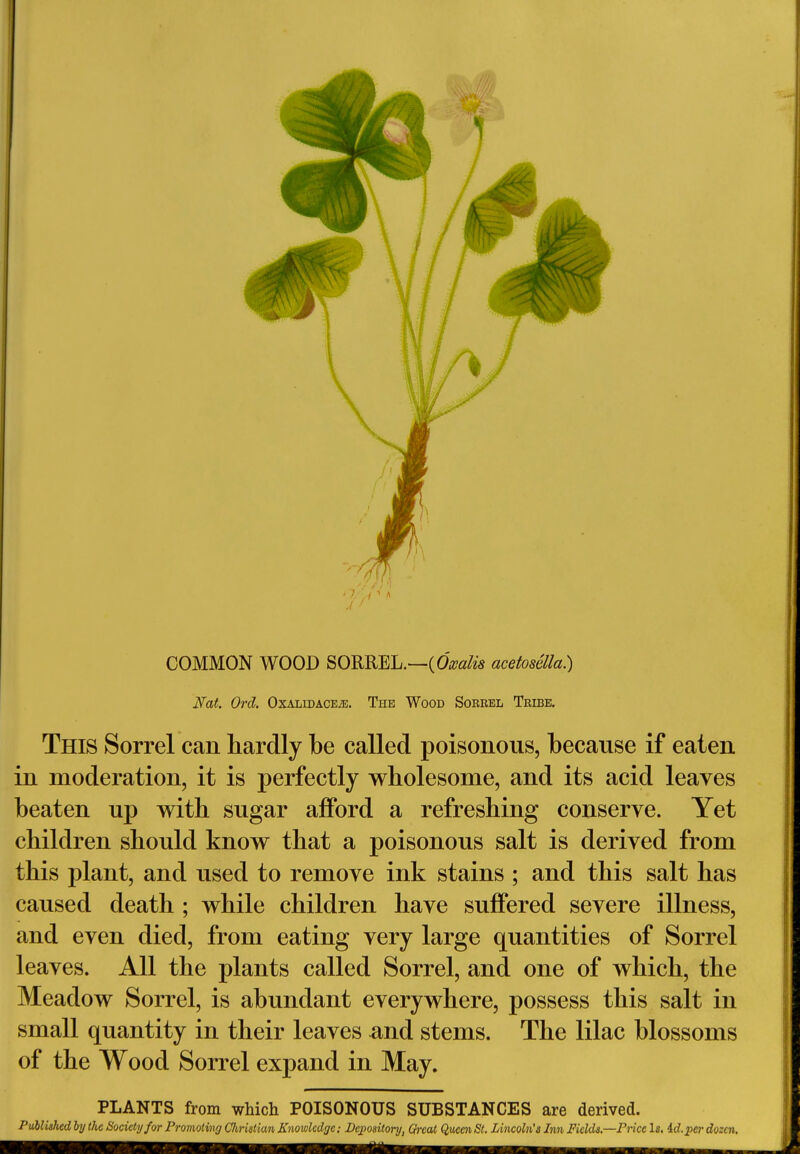 COMMON WOOD SORREL.—(Oxalis acetosella) Nat. Orel. Oxalidace^e. The Wood Sorrel Teibe. This Sorrel can hardly be called poisonous, because if eaten in moderation, it is perfectly wholesome, and its acid leaves beaten up with sugar afford a refreshing conserve. Yet children should know that a poisonous salt is derived from this plant, and used to remove ink stains ; and this salt has caused death ; while children have suffered severe illness, and even died, from eating very large quantities of Sorrel leaves. All the plants called Sorrel, and one of which, the Meadow Sorrel, is abundant everywhere, possess this salt in small quantity in their leaves and stems. The lilac blossoms of the Wood Sorrel expand in May. PLANTS from which POISONOUS SUBSTANCES are derived. Published by the Society for Promoting Cliristian Knowledge; Depository, Qrcai QucenSt. Lincoln's Inn Fields—Price Is. id.per dozen.