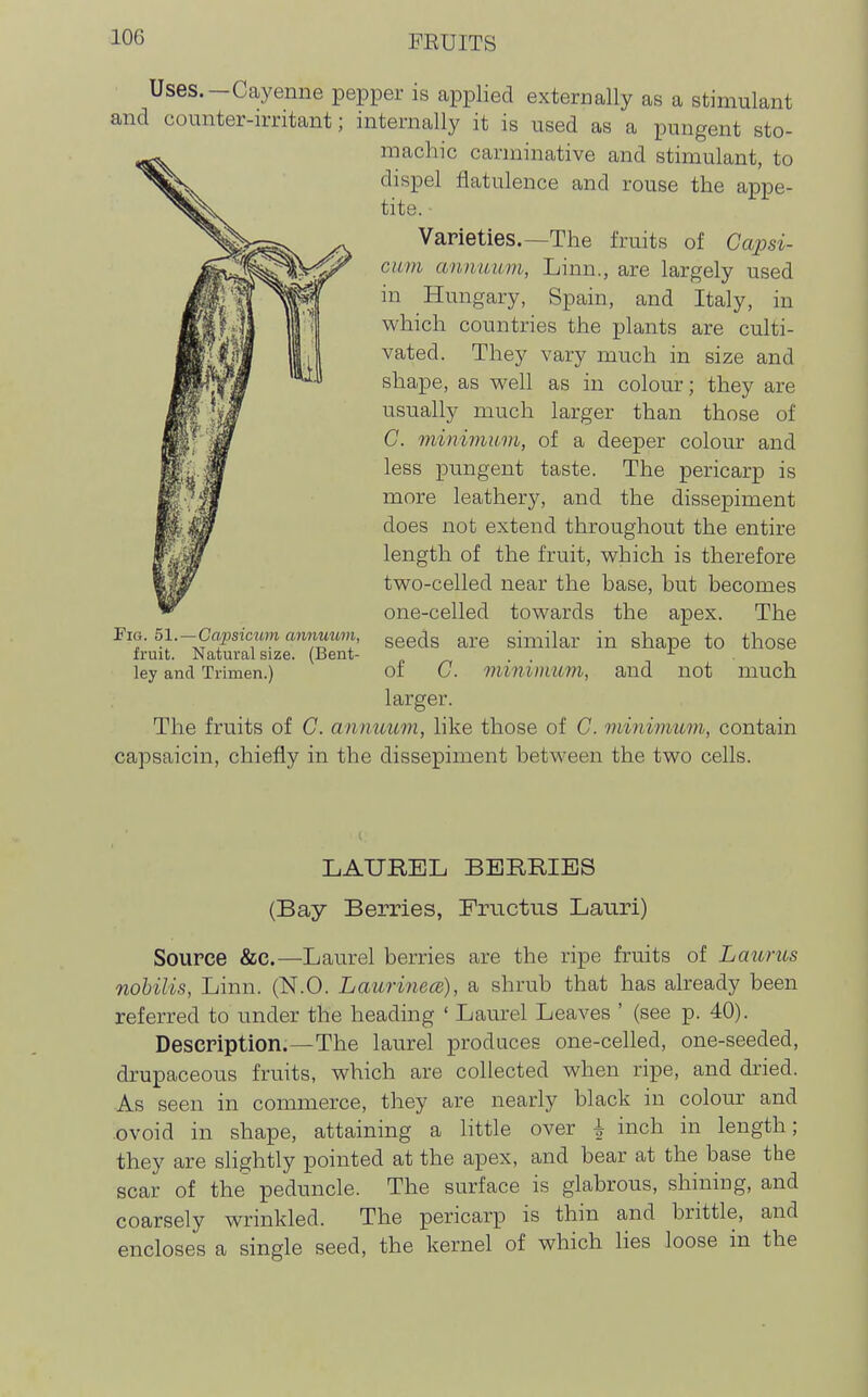 Uses.—Cayenne pepper is applied externally as a stimulant and counter-irritant; internally it is used as a pungent sto- machic carminative and stimulant, to dispel flatulence and rouse the appe- tite. ■ Varieties.—The fruits of Capsi- cum anmium, Linn., are largely used in Hungary, Spain, and Italy, in which countries the plants are culti- vated. They vary much in size and shape, as weh as in colour; they are usually much larger than those of G. minimum, of a deeper colour and less pungent taste. The pericarp is more leathery, and the dissepiment does not extend throughout the entire length of the fruit, which is therefore two-celled near the base, but becomes one-celled towards the apex. The ■Em. bl.-Gapsicum annuuvi ggeds are similar in shape to those fruit. Natural size. (Bent- ^ • • ley and Trimen.) of G. minimum, and not much larger. The fruits of C. annuum, like those of G. minimum, contain capsaicin, chiefly in the dissepiment between the two cells. LAUREL BERRIES (Bay Berries, Prnctus Lauri) Source &C.—Laurel berries are the ripe fruits of Laurus nohilis, Linn. (N.O. Laurinece), a shrub that has already been referred to under the heading ' Laurel Leaves ' (see p. 40). Description.—The laurel produces one-celled, one-seeded, drupaceous fruits, which are collected when ripe, and dried. As seen in commerce, they are nearly black in colour and .ovoid in shape, attaining a little over i inch in length; they are slightly pointed at the apex, and bear at the base the scar of the peduncle. The surface is glabrous, shiniug, and coarsely wrinkled. The pericarp is thin and brittle, and encloses a single seed, the kernel of which lies loose in the