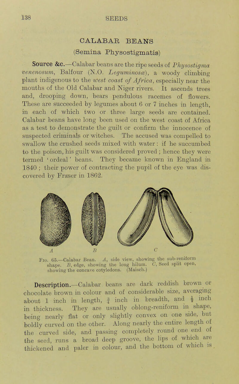 CALABAR BEANS (Semina Physostigmatis) Source &C.—Calabar beans are the ripe seeds of Physostignia venenosum, Balfour (N.O. Leguminosce), a woody climbing plant indigenous to the west coast of Africa, especially near the mouths of the Old Calabar and Niger rivers. It ascends trees and, drooping down, bears pendulous racemes of flowers. These are succeeded by legumes about 6 or 7 inches in length, in each of which two or three large seeds are contained. Calabar beans have long been used on the west coast of Africa as a test to demonstrate the guilt or confirm the innocence of suspected criminals or witches. The accused was compelled to swallow the crushed seeds mixed with water: if he succumbed to the poison, his guilt was considered proved ; hence they were termed ' ordeal' beans. They became known in England in 1840 ; their power of contracting the pupil of the eye was dis- covered by Praser in 1862. Fig. G5.—Calabar Beau. A, side view, showing the sub-ieniform shape. B, edge, showing the long liilum. C, Seed split open, showing the concave cotyledons. (Maisch.) Description.—Calabar beans are dark reddish brown or chocolate brown in colour and of considerable size, averagmg about 1 inch in length, f inch in breadth, and i inch in thickness. They are usually oblong-reniform in shape, being nearly flat or only sHghtly convex on one side, but boldly curved on the other. Along nearly the entire length of the curved side, and passing completely round one end of the seed, runs a broad deep groove, the lips of which are thickened and paler m colour, and the bottom of which is