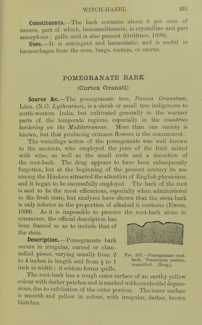 Constituents.—The bark contains about G per cent, of tannin, i^art of which, hamameHtannin, is crystalhne and part amorphous ; gaUic acid is also present (Griittner, 1898). Uses.—It is astringent and hcemostatic, and is useful in h£Bmorrhages from the nose, lungs, rectum, or uterus. Source &c.—The pomegranate tree, Punica Granatum, Linn. (N.O. Lijthrariece), is a shrub or small tree indigenous to north-western India, but cultivated generally in the warmer parts of the temperate regions, especially in the countries bordering on the Mediterranean. More than one variety is known, but that producing crimson flowers is the commonest. The vermifuge action of the pomegranate was well known to the ancients, who employed the juice of the fruit mixed with wine, as well as the small roots and a decoction of the root-bark. The drug appears to have been subsequently forgotten, but at the beginning of the present century its use among the Hindoos attracted the attention of English physicians, and it began to be successfully employed. The bark of the root is said to be the most efficacious, especially when administered in the fresh state, but analyses have shown that the stem-bark is only inferior in the proportion of alkaloid it contains (Ewers, 1899). As it is impossible to procure the root-bark alone in commerce, the official description has been framed so as to include that of wT^^ the stem. ) i Description.—Pomegranate bark occurs in irregular, curved or chan- nelled pieces, varjdng usually from 2 Fm, 107.—Pomegranate root- to 4 inches in length and from ^ to 1 .Transverse section, .Tj. „ ^ . magnified. (Berg.) mch m width ; it seldom forms quills. The root-bark has a rough outer surface of an earthy yellow colour with darker patches and is marked withconchoidal depres- sions, due to exfoliation of the outer portion. The inner surface IS smooth and yellow in colour, with irregular, darker, brown blotches. POMEGRANATE BARK (Cortex Granati)