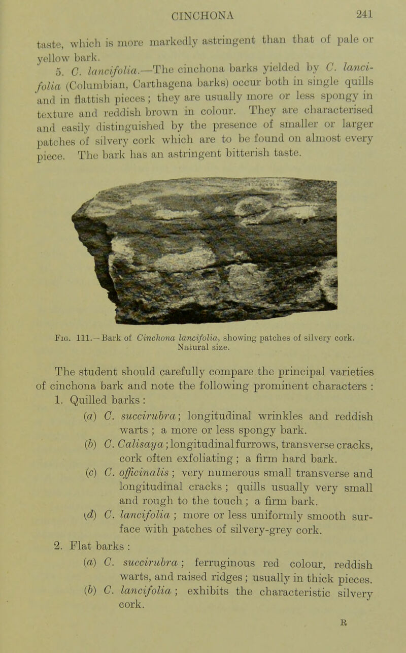 taste, which is more markedly astringent than that of pale or yellow bark. 5. C. lancifolla.—The cinchona barks yielded by C. land- folia (Columbian, Carthagena barks) occm' both in single quills and in flattish pieces; they are usually more or less spongy in texture and reddish brown in colour. They are characterised and easily distinguished by the presence of smaller or larger patches of silvery cork which are to be found on almost every piece. The bark has an astringent bitterish taste. Fig. 111. —Bark of Cinchona lancifolia, showing ijatches of silverj' cork. Natural size. The student should carefully compare the principal varieties of cinchona bark and note the following prominent characters : 1. Quilled barks: {a) G. succiruhra; longitudinal wrinkles and reddish warts ; a more or less spongy bark. {h) C. Calisaya; longitudinal furrows, transverse cracks, cork often exfoliating; a firm hard bark. (c) C. officinalis ; very numerous small transverse and longitudinal cracks ; quills usually very small and rough to the touch; a firm bark. \d) C. lancifolia ; more or less uniformly smooth sur- face with patches of silvery-grey cork. 2. Flat barks: (a) C. succiruhra; ferruginous red colour, reddish warts, and raised ridges ; usually in thick pieces. {h) G. lancifolia; exhibits the characteristic silvery cork. B