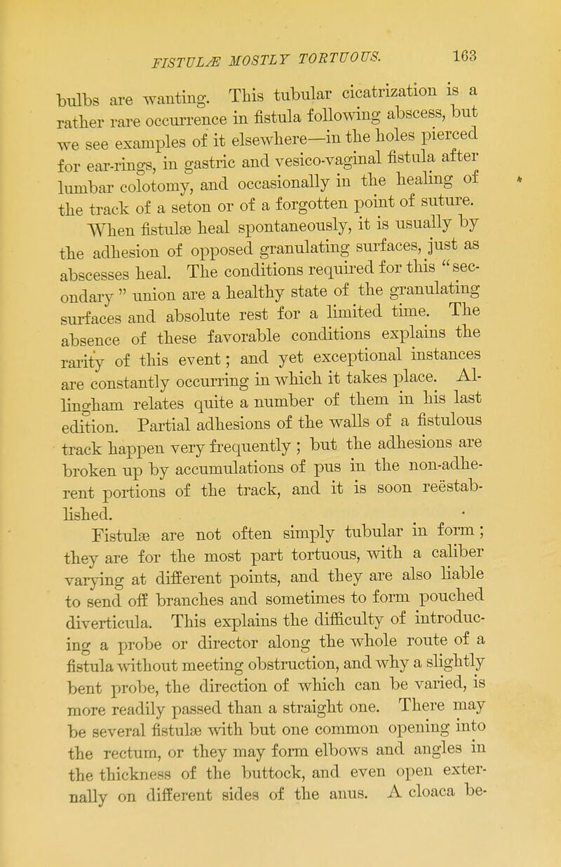 bulbs are wanting. This tubular cicatrization is a rather rare occurrence in fistula following abscess, but we see examples of it elsewhere-in the holes pierced for ear-rings, in gastric and vesico-vaginal fistula after lumbar cofotonry, and occasionally in the healing of the track of a seton or of a forgotten point of suture. When fistulse heal spontaneously, it is usually by tlie adhesion of opposed granulating surfaces, just as abscesses heal. The conditions required for this  sec- ondary  union are a healthy state of the granulating surfaces and absolute rest for a limited time. The absence of these favorable conditions explains the rarity of this event; and yet exceptional instances are constantly occurring in which it takes place. Al- liiigham relates quite a number of them in his last edition. Partial adhesions of the walls of a fistulous track happen very frequently ; but the adhesions are broken up by accumulations of pus in the non-adhe- rent portions of the track, and it is soon reestab- lished. Fistulas are not often simply tubular in form; they are for the most part tortuous, with a caliber varying at different points, and they are also liable to send off branches and sometimes to form pouched diverticula. This explains the difficulty of introduc- ing a probe or director along the whole route of a fistula Avithout meeting obstruction, and why a slightly bent probe, the direction of which can be varied, is more readily passed than a straight one. There may be several fistulse with but one common opening into the rectum, or they may form elbows and angles in the thickness of the buttock, and even open exter- nally on different sides of the anus. A cloaca be-