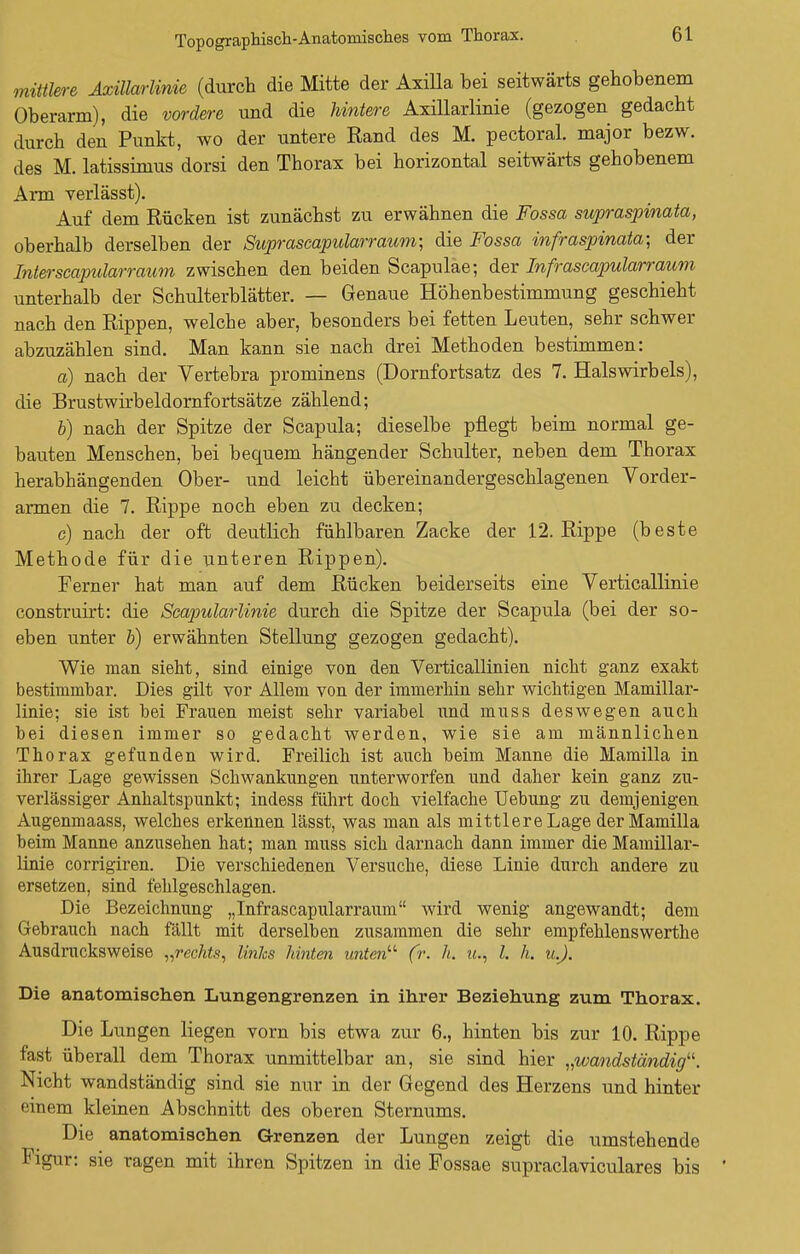 Topographisch-Anatomisches vom Thorax. mittlere Axillarlinie (durch die Mitte der Axilla bei seitwärts gehobenem Oberarm), die vordere und die hintere Axillarlinie (gezogen gedacht durch den Punkt, wo der untere Rand des M. pectoral. major bezw. des M. latissimus dorsi den Thorax bei horizontal seitwärts gehobenem Arm verlässt). Auf dem Rücken ist zunächst zu erwähnen die Fossa supraspinata, oberhalb derselben der Suprascapularraum; die Fossa infraspinata; der Interscapularraum zwischen den beiden Scapulae; der Infrascapularraum unterhalb der Schulterblätter. — Genaue Höhenbestimmung geschieht nach den Rippen, welche aber, besonders bei fetten Leuten, sehr schwer abzuzählen sind. Man kann sie nach drei Methoden bestimmen: a) nach der Vertebra prominens (Dornfortsatz des 7. Halswirbels), die Brustwirbeldornfortsätze zählend; b) nach der Spitze der Scapula; dieselbe pflegt beim normal ge- bauten Menschen, bei bequem hängender Schulter, neben dem Thorax herabhängenden Ober- und leicht übereinandergeschlagenen Vorder- armen die 7. Rippe noch eben zu decken; c) nach der oft deutlich fühlbaren Zacke der 12. Rippe (beste Methode für die unteren Rippen). Ferner hat man auf dem Rücken beiderseits eine Verticallinie construirt: die Scapularlinie durch die Spitze der Scapula (bei der so- eben unter b) erwähnten Stellung gezogen gedacht). Wie man sieht, sind einige von den Verticallinien nicht ganz exakt bestimmbar. Dies gilt vor Allem von der immerhin sehr wichtigen Mamillar- linie; sie ist bei Frauen meist sehr variabel und muss deswegen auch bei diesen immer so gedacht werden, wie sie am männlichen Thorax gefunden wird. Freilich ist auch beim Manne die Mamilla in ihrer Lage gewissen Schwankungen unterworfen und daher kein ganz zu- verlässiger Anhaltspunkt; indess führt doch vielfache Uebung zu demjenigen Augenmaass, welches erkennen lässt, was man als mittlere Lage der Mamilla beim Manne anzusehen hat; man muss sich darnach dann immer die Mamillar- linie corrigiren. Die verschiedenen Versuche, diese Linie durch andere zu ersetzen, sind fehlgeschlagen. Die Bezeichnung „Infrascapularraum wird wenig angewandt; dem Gebrauch nach fällt mit derselben zusammen die sehr empfehlenswerthe Ausdrucksweise „rechts, linlcs hinten unten (r. h. it., I h. u.J. Die anatomischen Lungengrenzen in ihrer Beziehung zum Thorax. Die Lungen liegen vorn bis etwa zur 6., hinten bis zur 10. Rippe fast überall dem Thorax unmittelbar an, sie sind hier „wandständig. Nicht wandständig sind sie nur in der Gegend des Herzens und hinter einem kleinen Abschnitt des oberen Sternums. Die anatomischen Grenzen der Lungen zeigt die umstehende Figur: sie ragen mit ihren Spitzen in die Fossae supraclaviculares bis