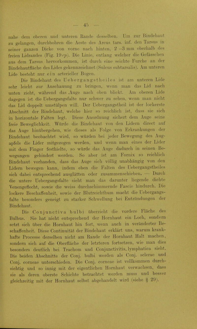 nalio dem oberen und unteren Ranck' desselben. Um zur Bindehaut zu gelangen, durchbohren die Aestc des Arcus tars. inf. den Tarsus in seiner ganzen Dicke von vorne nach hinten, 2 —3 mm oberhalb des freien Lidrandes (Fig. 19 rj)). Die Linie, entlang welcher die Gefässchen aus dem Tarsus hervorkommen, ist durch eine seichte Furche an der Bindehautfläche des Lides gekennzeichnet (Sulcus subtarsalis). Am unteren Lide besteht nur ein arterieller Bogen. Die Bindehaiit des Uebergangstheiles ist am unteren Lide sehr leicht zur Anschauung zu bringen, wenn man das Lid nach unten zieht, während das .Auge nach oben blickt. Am oberen Lide dagegen ist die Uebergangsfalte nur schwer zu sehen, wenn man nicht das Lid doppelt umstülpen will. Der Uebergangstheil ist der lockerste Abschnitt der Bindehaut, welche hier so reichlich ist, dass sie sich in horizontale Falten legt. Diese Anordnung sichert dem Auge seine freie Beweglichkeit. Würde die Bindehaut von den Lidern direct auf das Auge hinübergehen, wie dieses als Folge von Erkrankungen der Bindehaut beobachtet wird, so würden bei jeder Bewegung des Aug- apfels die Lider mitgezogen werden, und wenn man eines der Lider mit dem Finger festhielte, so würde das Auge dadurch in seinen Be- wegungen gehindert werden. So aber ist am Fornix so reichlich Bindehaut vorhanden, dass das Auge sich völlig unabhängig von den Lidern bewegen kann, indem eben die Falten des Uebergangstheiles sich dabei entsprechend ausglätten oder zusammenschieben. — Durch die untere Uebergangsfalte sieht man das darunter liegende dichte Venengeflecht, sowie die weiss durchschimmernde Fascie hindurch. Die lockere Beschaffenheit, sowie der Blutreichthum macht die Uebergangs- falte besonders geneigt zu starker Schw-ellung bei Entzündungen der Bindehaut. Die Conjunctiva bulbi überzieht die vordere Fläche des Bulbus. Sie hat nicht entsprechend der Hornhaut ein Loch, sondern setzt sich über die Hornhaut hin fort, wenn auch in veränderter Be- schaffenheit. Diese Continuität der Bindehaut erklärt uns, warum krank- hafte Processe derselben nicht am Rande der Hornhaut Halt machen, sondern sich auf die Oberfläche der letzteren fortsetzen, wie man dies besonders deutlich bei Trachom und Conjunctivitis, lymphatica sieht. Die beiden Abschnitte der Conj. bulbi werden als Conj. sclerae und Conj. corneae unterschieden. Die Conj. corneae ist vollkommen durch- sichtig und so innig mit der eigentlichen Hornhaut verwachsen, dass sie als deren oberste Schichte betrachtet werden muss und besser gleichzeitig mit der Hornhaut selbst abgehandelt wird (siehe § 29).