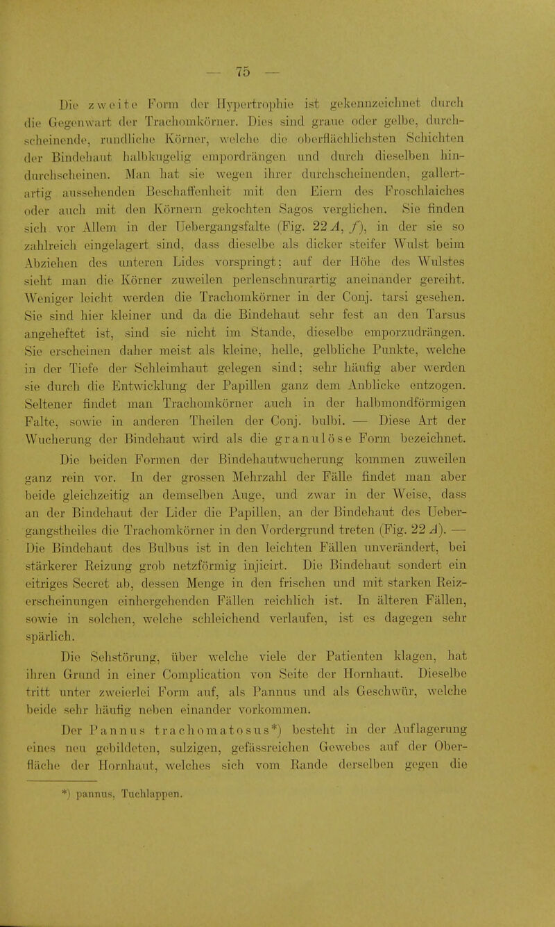 Die zwoito Form der Hypertrophie ist gekennzeiclmet durch die Gegenwiirt der Trachomkörner. Dies sind graue oder gelbe, durch- scheinende, rundliche Körner, welche die oberflächlichsten Schichten der Bindehaut hnlbkiigelig empordrängen und durch dieselben hin- durclischeinen. Man hat sie wegen ihrer durchscheinenden, gallert- artig aussehenden Beschaffenheit mit den Eiern des Froschlaiches oder auch mit den Körnern gekochten Sagos verglichen. Sie finden sich vor Allem in der Uebergangsfalte (Fig. 22^4, /), in der sie so zahlreich eingelagert sind, dass dieselbe als dicker steifer Wulst beim Abziehen des unteren Lides vorspringt: auf der Höhe des Wulstes sieht man die Körner zuweilen perlenschnurartig aneinander gereiht. Weniger leicht werden die Trachomkörner in der Conj. tarsi gesehen. Sie sind hier kleiner und da die Bindehaut sehr fest an den Tarsus angeheftet ist, sind sie nicht im Stande, dieselbe emporzudrängen. Sie erscheinen daher meist als kleine, helle, gelbliche Punkte, welche in der Tiefe der Schleimhaut gelegen sind; sehr häufig aber werden sie durch die Entwicklung der Papillen ganz dem Anblicke entzogen. Seltener findet man Trachomkörner auch in der halbmondförmigen Falte, sowie in anderen Theilen der Conj. bulbi. — Diese Art der Wucherung der Bindehaut wird als die granulöse Form bezeichnet. Die beiden Formen der Bindehautwucherung kommen zuweilen ganz rein vor. In der grossen Mehrzahl der Fälle findet man aber beide gleichzeitig an demselben Auge, und zwar in der Weise, dass an der Bindehaut der Lider die Papillen, an der Bindehaut des Ueber- gangstheiles die Trachomkörner in den Vordergrund treten (Fig. 22 A). — Die Bindehaut des Bulbus ist in den leichten Fällen unverändert, bei stärkerer Reizung grob netzförmig injicirt. Die Bindehaut sondert ein eitriges Secret ab, dessen Menge in den frischen und mit starken Reiz- erscheinungen einhergehenden Fällen reichlich ist. In älteren Fällen, sowie in solchen, welche schleichend verlaufen, ist es dagegen sehr spärlich. Die Sehstörung, über welche viele der Patienten klagen, hat ihren Grund in einer Complication von Seite der Hornhaut. Dieselbe tritt unter zweierlei Form auf, als Pannus und als Geschwür, welche beide sehr häufig neben einander vorkommen. Der Pannus trachomatosus*) besteht in der Auflagerung eines neu gebildeten, sulzigen, gefässreichen Gewebes auf der Ober- fläche der Hornliaut, welches sich vom Rande derselben gegen die *) yianniis. Tuchlappen.