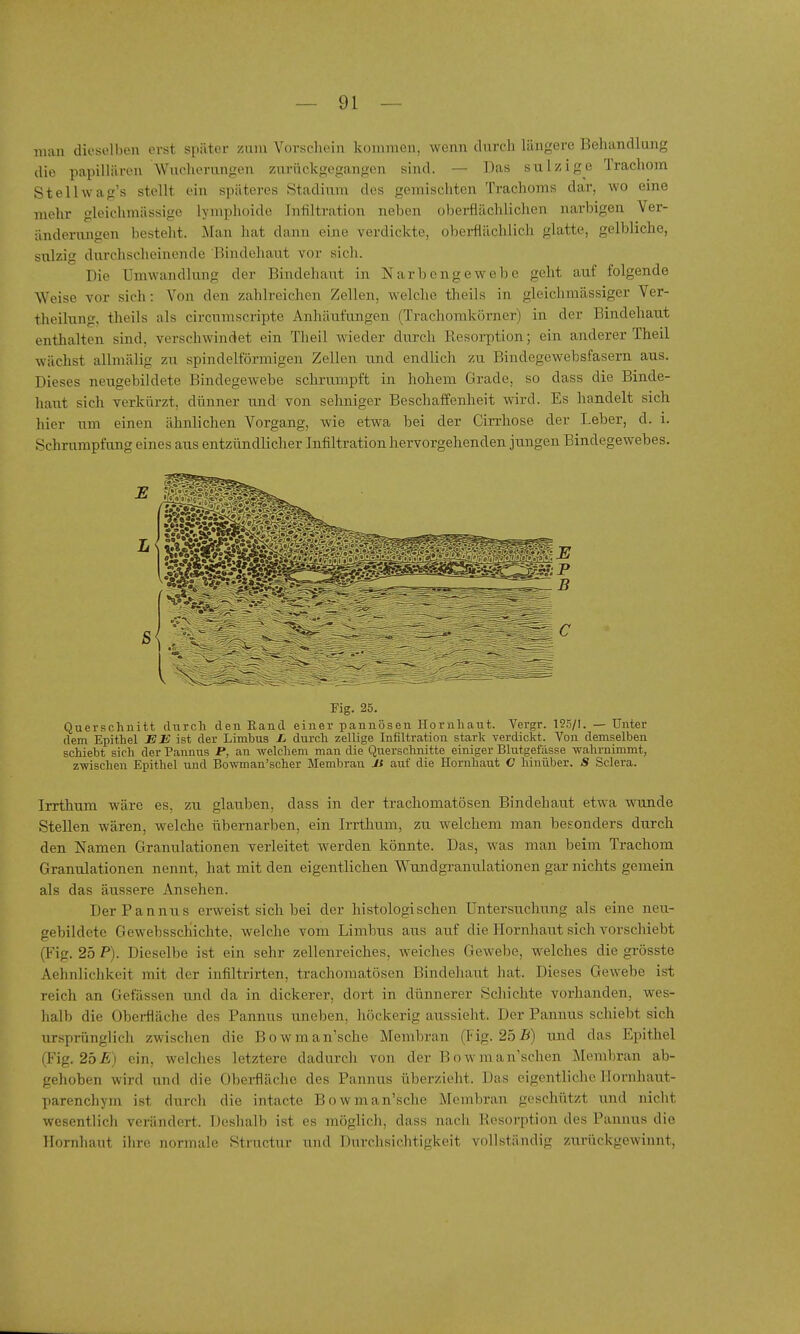 man dieselben erst später zum Vorschein kommen, wenn clnrch längere Behandlung die papillären Wucherungen zurückgegangen sind. — Das sulzigc Trachom Stellwag's stellt ein späteres Stadiiini des gemischten Trachoms dar, wo eine mehr gleichmässige lymphcjide Infiltration neben oberflächlichen narbigen Ver- änderungen besteht. Man liat dann eine verdickte, oberflächlich glatte, gelbliche, sulzig durchscheinende Bindehaut vor sich. Die Umwandlung der Bindehaut in Narbengewebe geht auf folgende Weise vor sich: Von den zahlreichen Zellen, welche theils in gleichmässiger Ver- tJieilnng, theils als circnmscripte Anhäufungen (Trachomkörner) in der Bindehaut enthalten sind, verschwindet ein Theil wieder durch Resorption; ein anderer Theil wächst allmälig zu spindelförmigen Zellen xmd endlich zu Bindegewebsfasern aus. Dieses neugebildete Bindegewebe schrumpft in hohem Grade, so dass die Binde- haut sich verkürzt, dünner und von sehniger Beschaffenlieit wird. Es handelt sich hier um einen ähnlichen Vorgang, wie etwa bei der Cirrhose der Leber, d. i. Schrumpfung eines aus entzündlicher Infiltration hervorgehenden jungen Bindegewebes. Fig. 25. Querschnitt durch den Eand einer pannösen Hornhaut. Vergr. 125/1. — Unter dem Epithel E E ist der Limbus X, durch zellige Infiltration stark verdickt. Von demselben schiebt sich der Pannus P, an -welchem man die Querschnitte einiger Blutgefässe wahrnimmt, zwischen Epithel und Bowman'scher Membran Jt auf die Hornhaut C hinüber. S Sclera. Irrthum wäre es, zu glauben, dass in der trachomatösen Bindehaut etwa wunde Stellen wären, welche Übernarben, ein Irrthum, zu welchem man besonders durch den Namen Granulationen verleitet werden könnte. Das, was man beim Trachom Granulationen nennt, hat mit den eigentlichen Wundgranulationen gar nichts gemein als das äussere Ansehen. Der Pannus erweist sich bei der histologischen Untersuchung als eine neu- gebildete GewebsscKichte, welche vom Limbus aus auf die Hornhaiit sich vorschiebt (Fig. 25 P). Dieselbe ist ein sehr zellenreiches, weiches Gewebe, welches die grösste Aehnlichkcit mit der infiltrirten, trachomatösen Bindehaut hat. Dieses Gewebe ist reich an Gefässen und da in dickerer, dort in dünnerer Schichte vorhanden, wes- halb die Obei-fläche des Pannus uneben, höckerig aussieht. Der Pannus schiebt sich ursprünglich zwischen die Bowman'sche Membran (Fig. 25und das Epithel (Fig. 25£) ein, welches letztere dadurch von der Bowman'schen Membran ab- gehoben wird und die Oberfläche des Pannus überzieht. Das eigentliche Hornhaut- parenchym ist durch die intacte Bowman'sche Membran geschützt und nicht wesentlich verändert. Deshalb ist es möglich, dass nach Kesorption des Pannus die Hornhaut ihre normale Structur und Durchsichtigkeit vollständig zurückgewinnt.