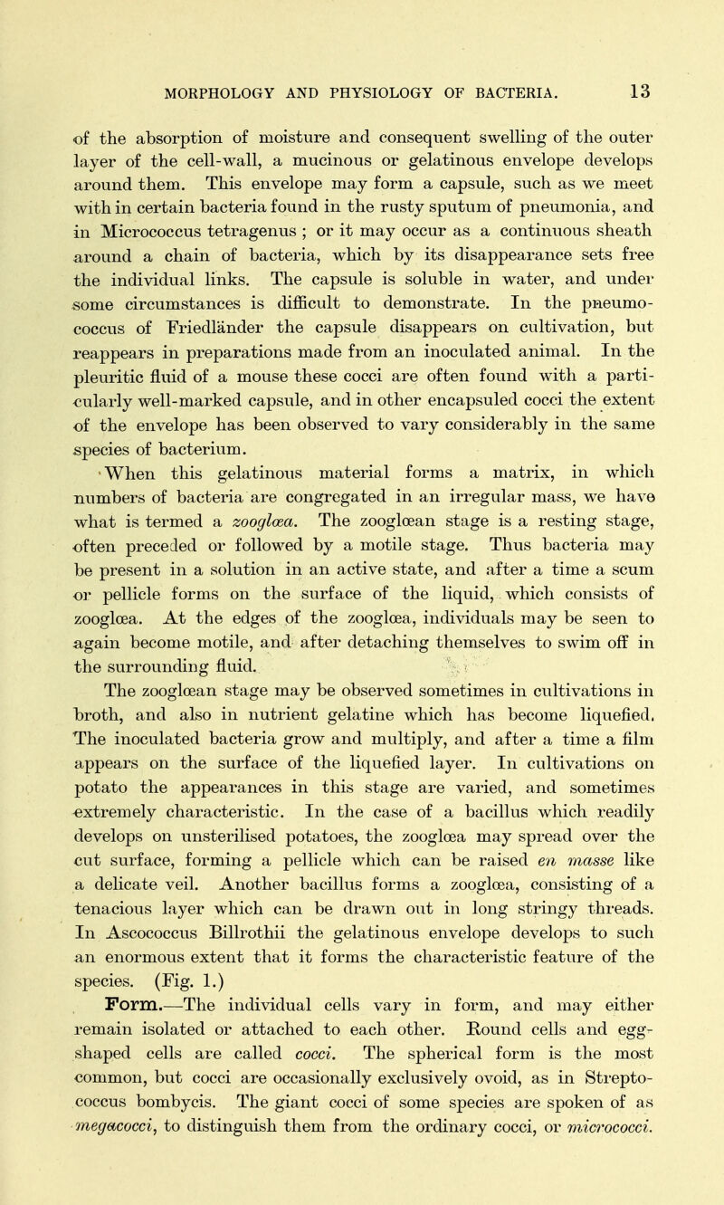 of the absorption of moisture and consequent swelling of the outer layer of the cell-wall, a mucinous or gelatinous envelope develops around them. This envelope may form a capsule, such as we meet within certain bacteria found in the rusty sputum of pneumonia, and in Micrococcus tetragenus ; or it may occur as a continuous sheath around a chain of bacteria, which by its disappearance sets free the individual links. The capsule is soluble in water, and under some circumstances is difficult to demonstrate. In the pneumo- coccus of Friedlander the capsule disappears on cultivation, but reappears in preparations made from an inoculated animal. In the pleuritic fluid of a mouse these cocci are often found with a parti- cularly well-marked capsule, and in other encapsuled cocci the extent of the envelope has been observed to vary considerably in the same species of bacterium. 'When this gelatinous material forms a matrix, in which numbers of bacteria are congregated in an irregular mass, we have what is termed a zoogloea. The zoogloean stage is a resting stage, often preceded or followed by a motile stage. Thus bacteria may be present in a solution in an active state, and after a time a scum or pellicle forms on the surface of the liquid, which consists of zoogloea. At the edges of the zoogloea, individuals may be seen to again become motile, and after detaching themselves to swim off in the surrounding fluid. The zoogloean stage may be observed sometimes in cultivations in broth, and also in nutrient gelatine which has become liquefied, The inoculated bacteria grow and multiply, and after a time a film appears on the surface of the liquefied layer. In cultivations on potato the appearances in this stage are varied, and sometimes ■extremely characteristic. In the case of a bacillus which readily develops on unsterilised potatoes, the zoogloea may spread over the cut surface, forming a pellicle which can be raised en masse like a delicate veil. Another bacillus forms a zoogloea, consisting of a tenacious layer which can be drawn out in long stringy threads. In Ascococcus Billrothii the gelatinous envelope develops to such an enormous extent that it forms the characteristic feature of the species. (Fig. 1.) Form.—The individual cells vary in form, and may either remain isolated or attached to each other. Round cells and egg- shaped cells are called cocci. The spherical form is the most common, but cocci are occasionally exclusively ovoid, as in Strepto- coccus bombycis. The giant cocci of some species are spoken of as megacocci, to distinguish them from the ordinary cocci, or micrococci.