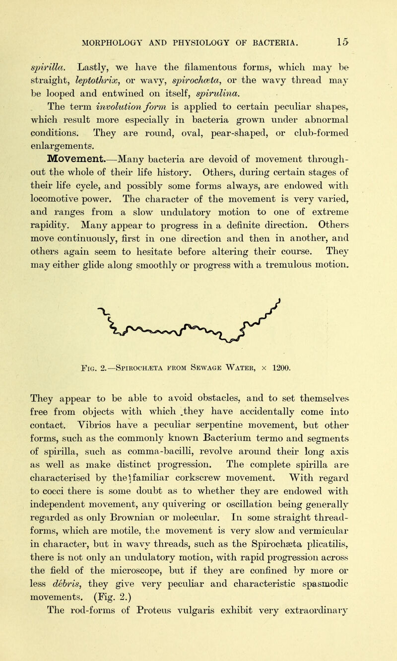 spirilla. Lastly, we have the filamentous forms, which may be straight, leptothrix, or wavy, spirochceta, or the wavy thread may he looped and entwined on itself, spirulina. The term involution form is applied to certain peculiar shapesy which result more especially in bacteria grown under abnormal conditions. They are round, oval, pear-shaped, or club-formed enlargements. Movement Many bacteria are devoid of movement through- out the whole of their life history. Others, during certain stages of their life cycle, and possibly some forms always, are endowed with locomotive power. The character of the movement is very varied, and ranges from a slow undulatory motion to one of extreme rapidity. Many appear to progress in a definite direction. Others move continuously, first in one direction and then in another, and others again seem to hesitate before altering their course. They may either glide along smoothly or progress with a tremulous motion. Fig. 2.— Spirocileta from Sewage Water, x 1200. They appear to be able to avoid obstacles, and to set themselves free from objects with which .they have accidentally come into contact. Vibrios have a peculiar serpentine movement, but other forms, such as the commonly known Bacterium termo and segments of spirilla, such as comma-bacilli, revolve around their long axis as well as make distinct progression. The complete spirilla are characterised by the]familiar corkscrew movement. With regard to cocci there is some doubt as to whether they are endowed with independent movement, any quivering or oscillation being generally regarded as only Brownian or molecular. In some straight thread- forms, which are motile, the movement is very slow and vermicular in character, but in wavy threads, such as the Spirochseta plicatilis, there is not only an undulatory motion, with rapid progression across the field of the microscope, but if they are confined by more or less debris, they give very peculiar and characteristic spasmodic movements. (Fig. 2.) The rod-forms of Proteus vulgaris exhibit very extraordinary