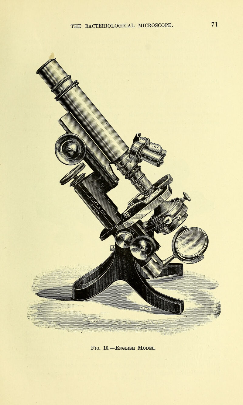 Fig. 16.—English Model.