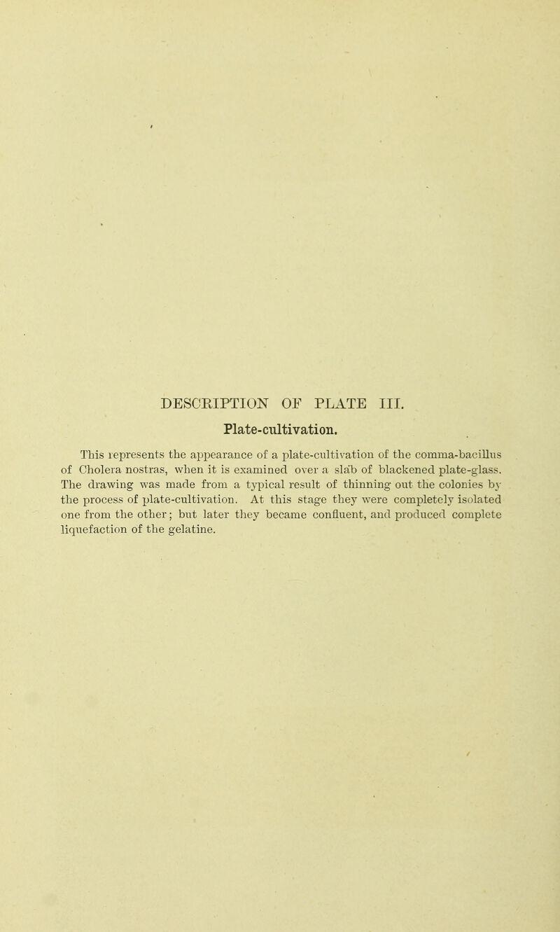 DESCRIPTION OF PLATE III. Plate-cultivation. This represents the appearance of a plate-cultivation of the comma-bacillus of Cholera nostras, when it is examined over a slab of blackened plate-glass. The drawing was made from a typical result of thinning out the colonies by the process of plate-cultivation. At this stage they were completely isolated one from the other; but later they became confluent, and produced complete liquefaction of the gelatine.