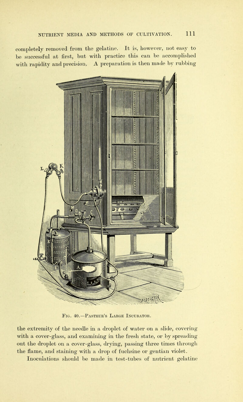 completely removed from the gelatine. It is, however, not easy to be successful at first, but with practice this can be accomplished with rapidity and precision. A preparation is then made by rubbing Fig. 40.—Pasteur's Large Incubator. the extremity of the needle in a droplet of water on a slide, covering with a cover-glass, and examining in the fresh state, or by spreading out the droplet on a cover-glass, drying, passing three times through the flame, and staining with a drop of fuchsine or gentian violet. Inoculations should be made in test-tubes of nutrient gelatine