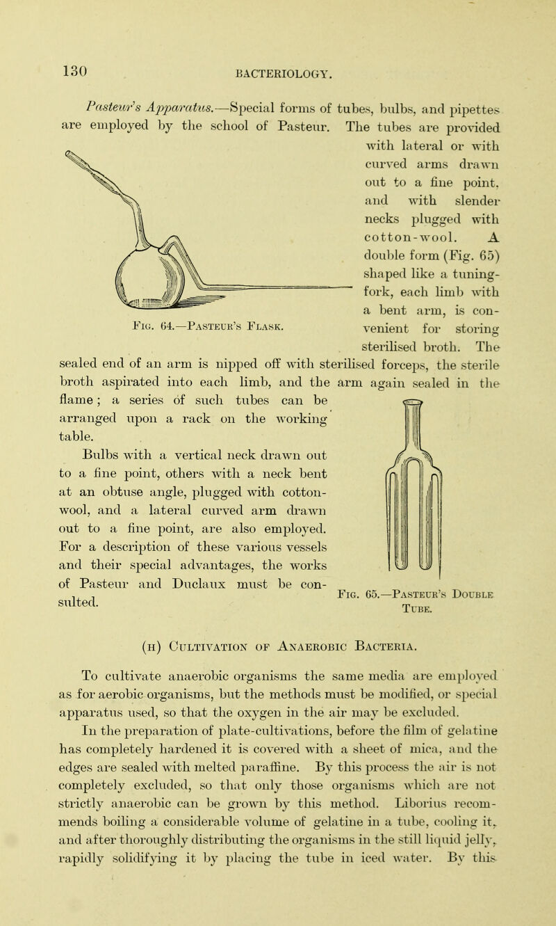 Fig. 64.—Pasteur's Flask. Pasteur's Apparatus.—Special forms of tubes, bulbs, and pipettes are employed by the school of Pasteur. The tubes are provided with lateral or with curved arms drawn out to a fine point, and with slender necks plugged with cotton-wool. A double form (Fig. 65) shaped like a tuning- fork, each limb with a bent arm, is con- venient for storing sterilised broth. The sealed end of an arm is nipped off with sterilised forceps, the sterile broth aspirated into each limb, and the arm again sealed in the flame; a series of such tubes can be arranged upon a rack on the working table. Bulbs with a vertical neck drawn out to a fine point, others with a neck bent at an obtuse angle, plugged with cotton- wool, and a lateral curved arm drawn out to a fine point, are also employed. For a description of these various vessels and their special advantages, the works of Pasteur and Duclaux must be con- , Fig. 65.—Pasteur's Double suited. Tube. (h) Cultivation of Anaerobic Bacteria. To cultivate anaerobic organisms the same media are employed as for aerobic organisms, but the methods must be modified, or special apparatus used, so that the oxygen in the air may be excluded. In the preparation of plate-cultivations, before the film of gelatine has completely hardened it is covered with a sheet of mica, and the edges are sealed with melted paraffine. By this process the air is not completely excluded, so that only those organisms which are not strictly anaerobic can be grown by this method. Liborius recom- mends boiling a considerable volume of gelatine in a tube, cooling it. and after thoroughly distributing the organisms in the still liquid jelly, rapidly solidifying it by placing the tube in iced water. By this