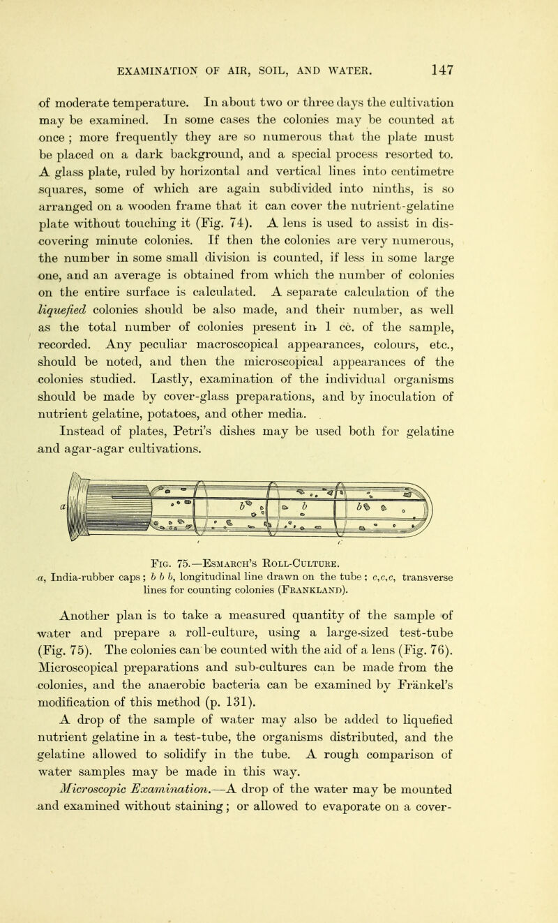 of moderate temperature. In about two or three days the cultivation may be examined. In some cases the colonies may be counted at once ; more frequently they are so numerous that the plate must be placed on a dark background, and a special process resorted to. A glass plate, ruled by horizontal find vertical lines into centimetre squares, some of which are again subdivided into ninths, is so arranged on a wooden frame that it can cover the nutrient-gelatine plate without touching it (Fig. 74). A lens is used to assist in dis- covering minute colonies. If then the colonies are very numerous, the number in some small division is counted, if less in some large one, and an average is obtained from which the number of colonies on the entire surface is calculated. A separate calculation of the liquefied colonies should be also made, and their number, as well as the total number of colonies present in 1 cc. of the sample, recorded. Any peculiar macroscopieal appearances, colours, etc., should be noted, and then the microscopical appearances of the colonies studied. Lastly, examination of the individual organisms should be made by cover-glass preparations, and by inoculation of nutrient gelatine, potatoes, and other media. Instead of plates, Petri's dishes may be used both for gelatine and agar-agar cultivations. Fig. 75.—Esmaech's Roll-Culture. «, India-rubber caps; b b b, longitudinal line drawn on the tube ; c,c,c, transverse lines for counting colonies (Fkankland). Another plan is to take a measured quantity of the sample of water and prepare a roll-culture, using a large-sized test-tube (Fig. 75). The colonies can be counted with the aid of a lens (Fig. 76). Microscopical preparations and sub-cultures can be made from the colonies, and the anaerobic bacteria can be examined by Frankel's modification of this method (p. 131). A drop of the sample of water may also be added to liquefied nutrient gelatine in a test-tube, the organisms distributed, and the gelatine allowed to solidify in the tube. A rough comparison of water samples may be made in this way. Microscopic Exanihuition.—A drop of the water may be mounted And examined without staining; or allowed to evaporate on a cover-